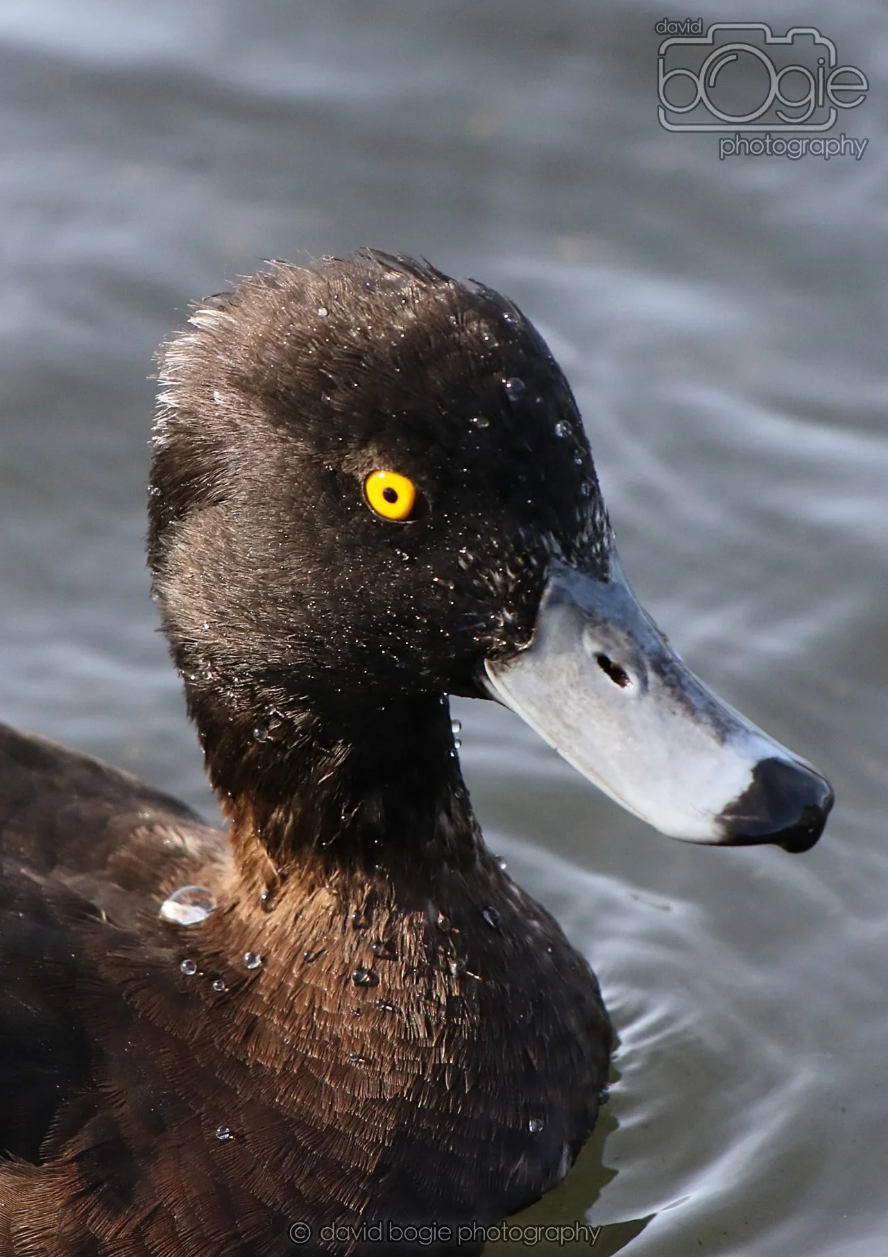 20260319 133517 Beveridge Park 0492.jpg