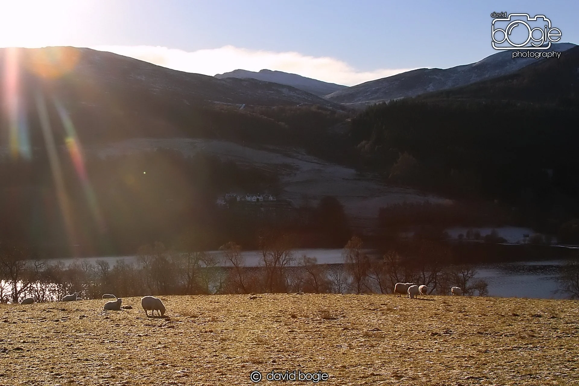 20221215 00026 Aberfeldy.JPG