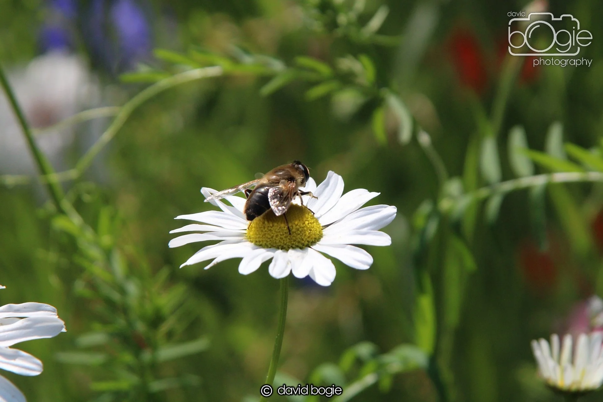 20210727 Beveridge Park4 .JPG