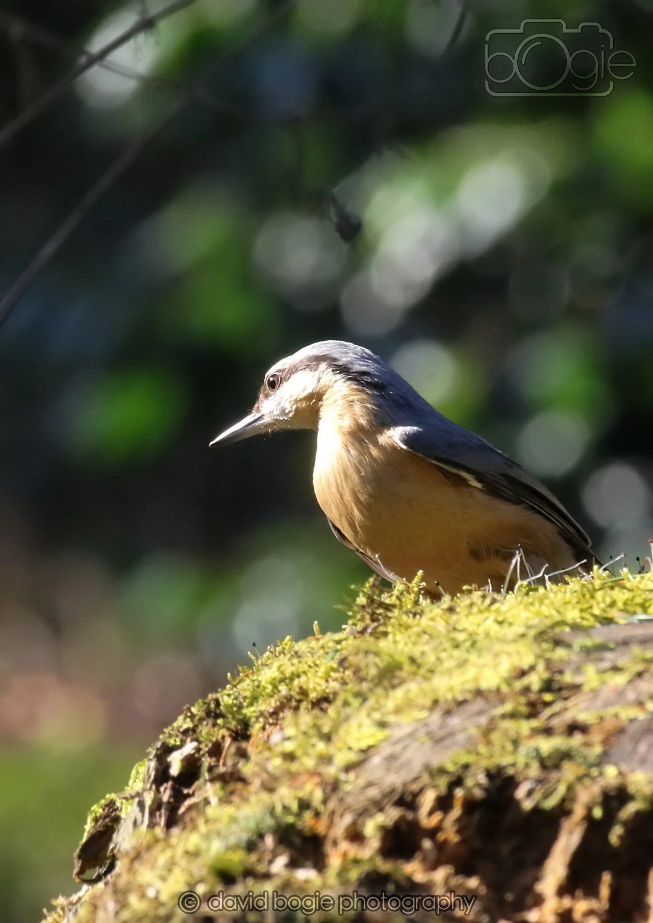 20260320 144501 Ravenscraig 0408.jpg