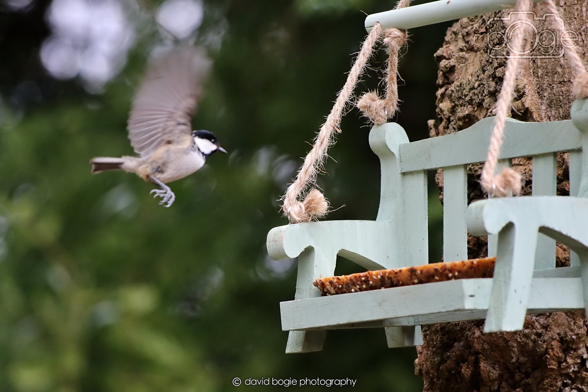 20260330 113517 Dunnikier 0225.jpg