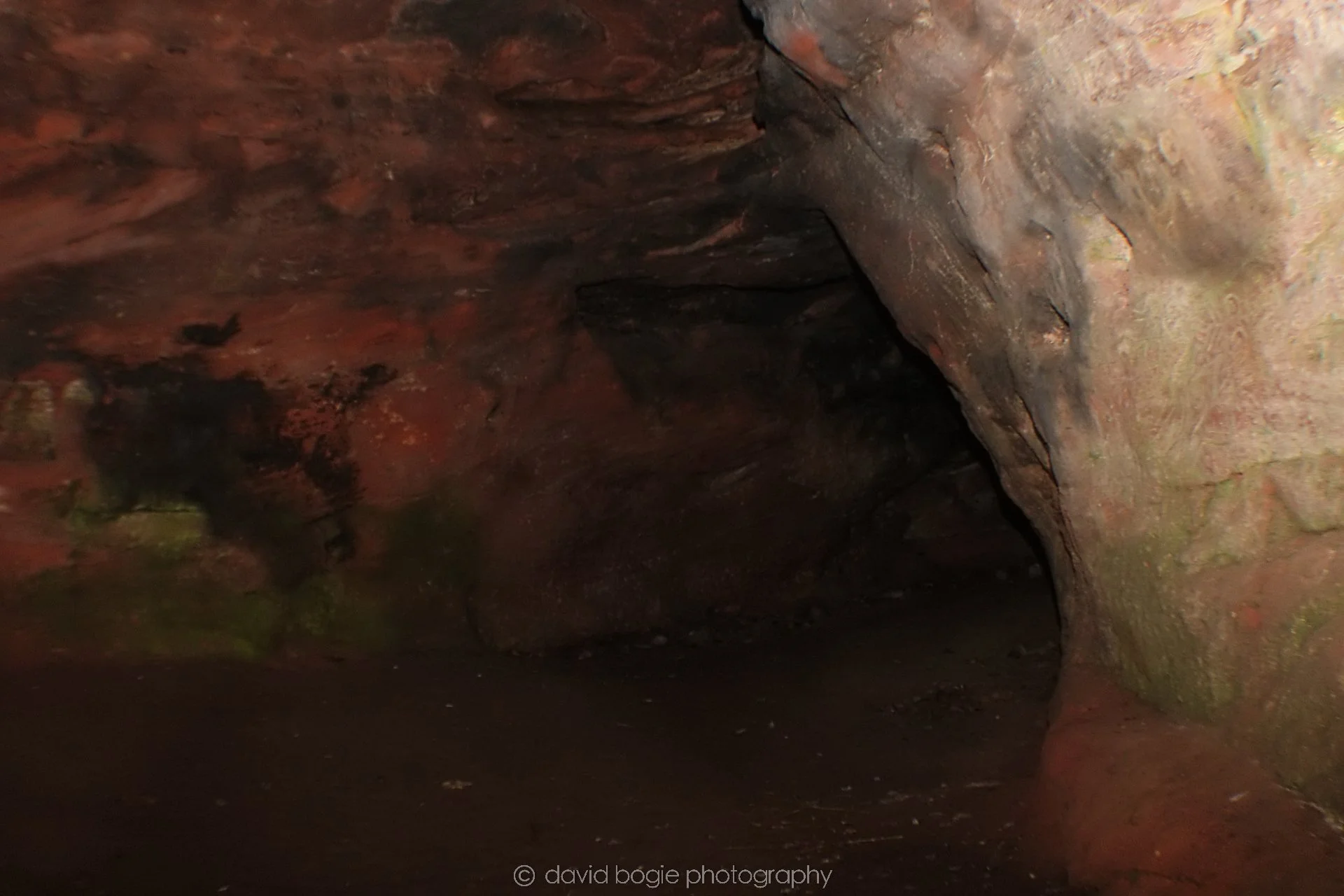 20190926 101119 Wemyss Caves 0004.jpg