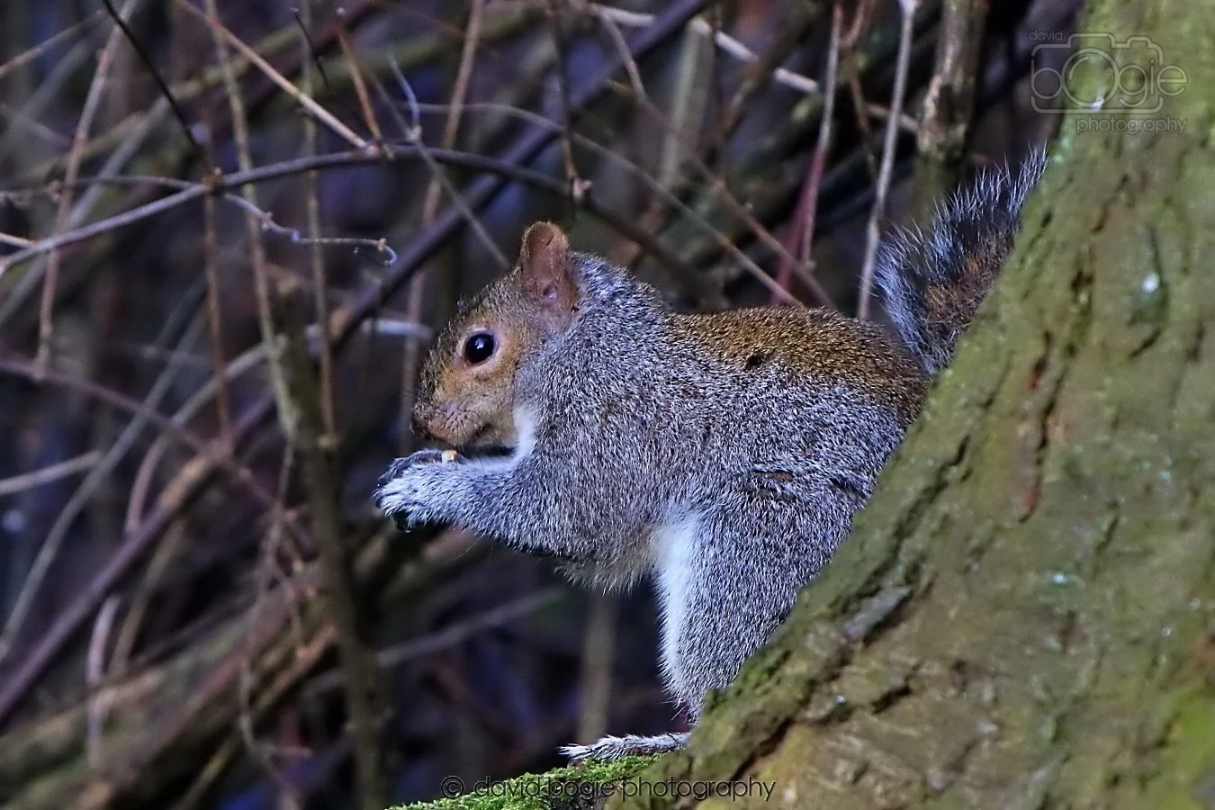 20260128 143108 Dunnikier 0386.jpg