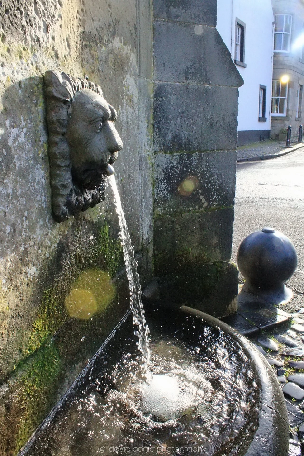 20190211 113929 Falkland 0007.jpg