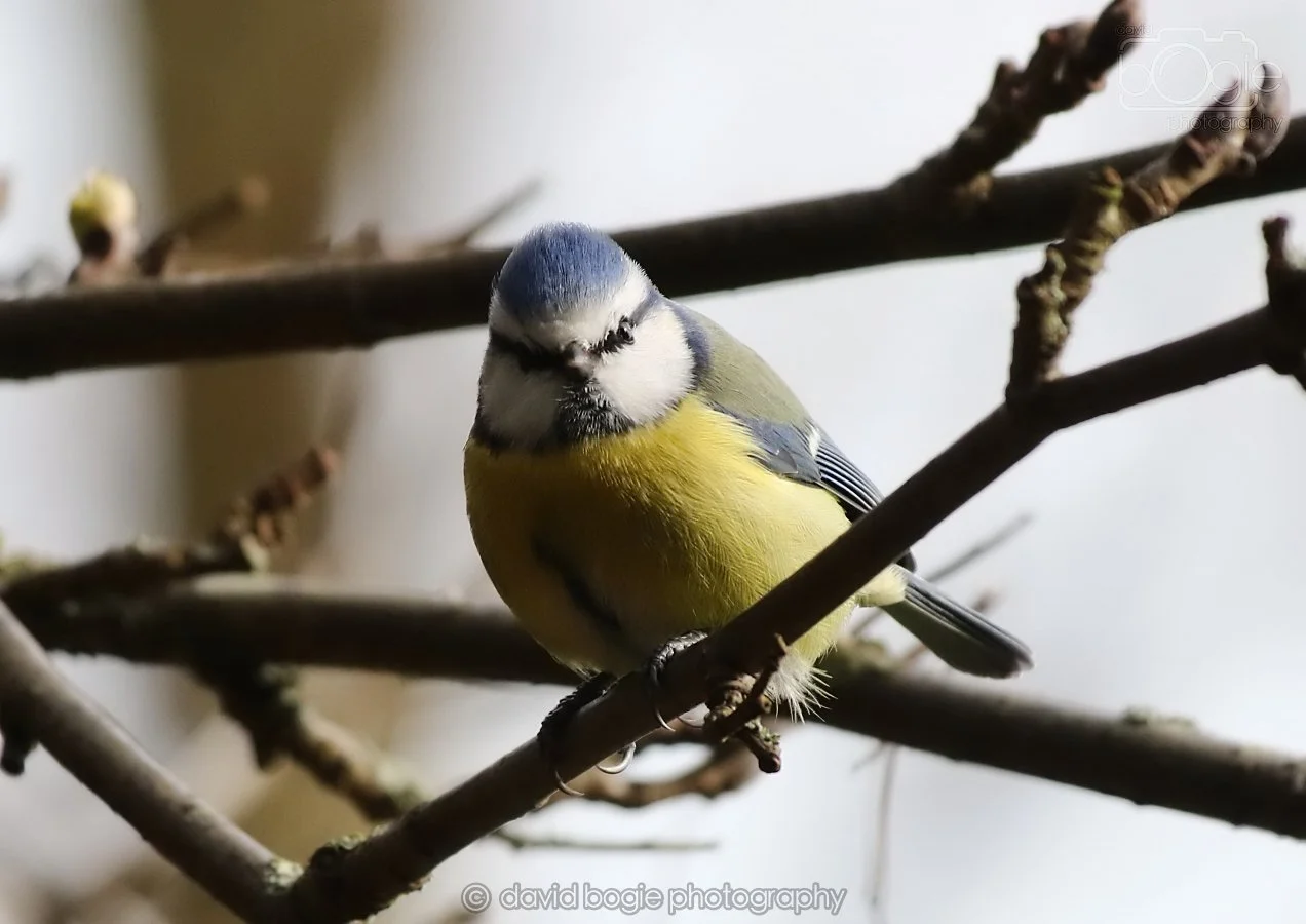 20260314 142922 Silverburn 0281.jpg