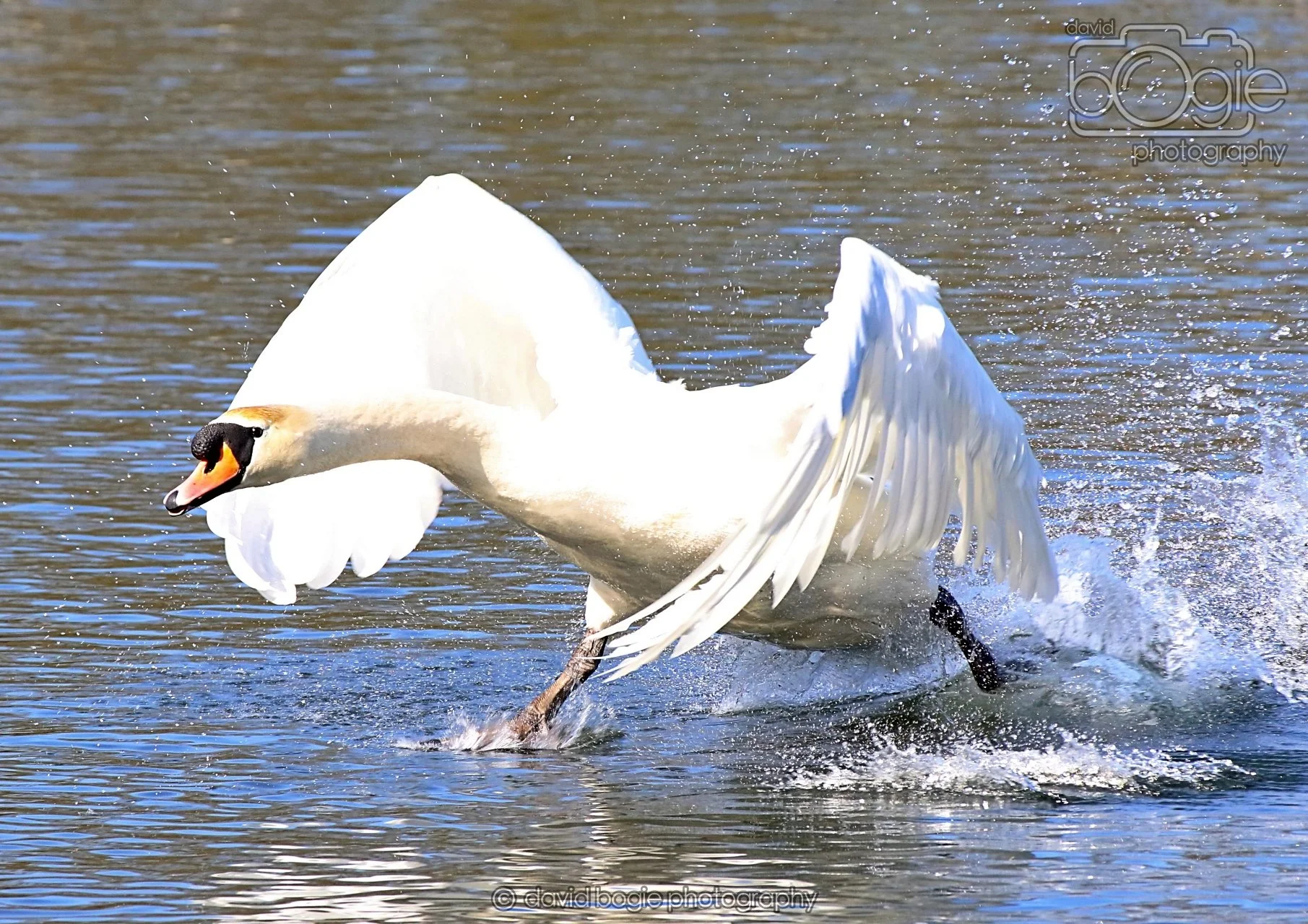20260319 113606 Beveridge Park 0171.jpg