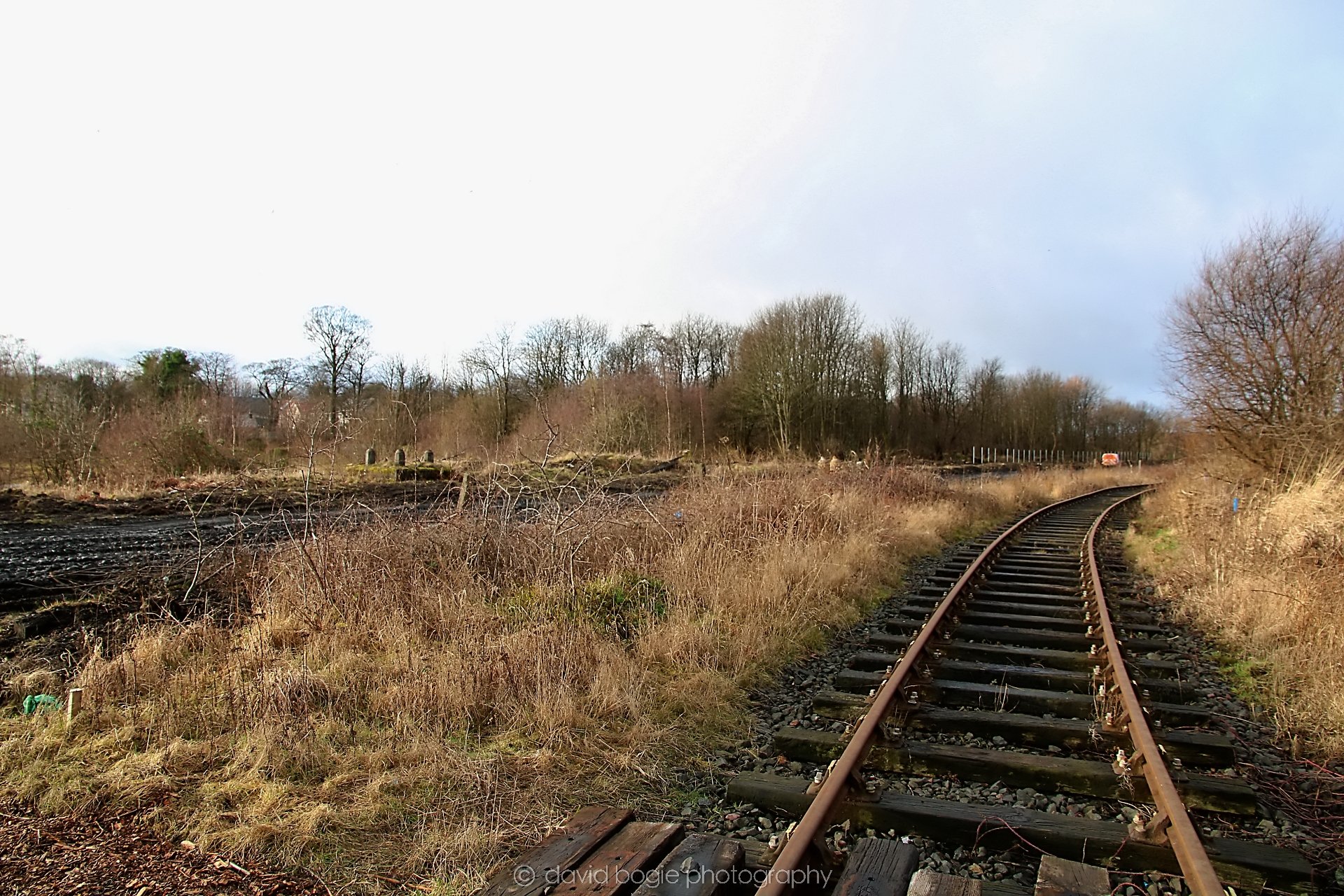 YEAR20220202 Levenmouth 00018.jpg