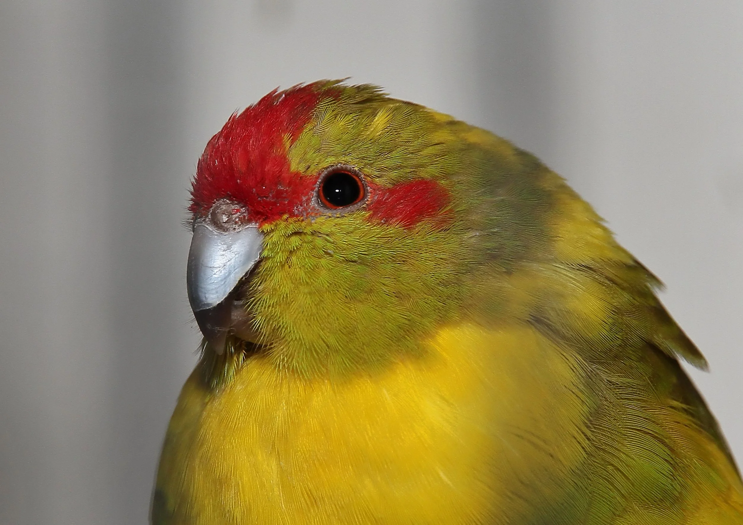 20260331 103956 K&S 0293.jpg