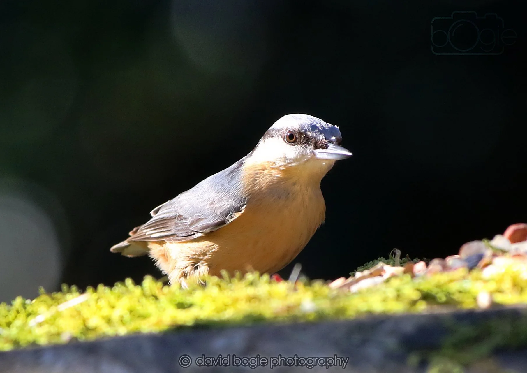 20260320 142936 Ravenscraig 0279.jpg