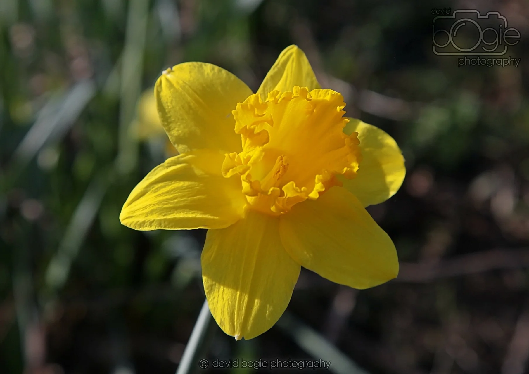 20260319 115415 Beveridge Park 0132.jpg