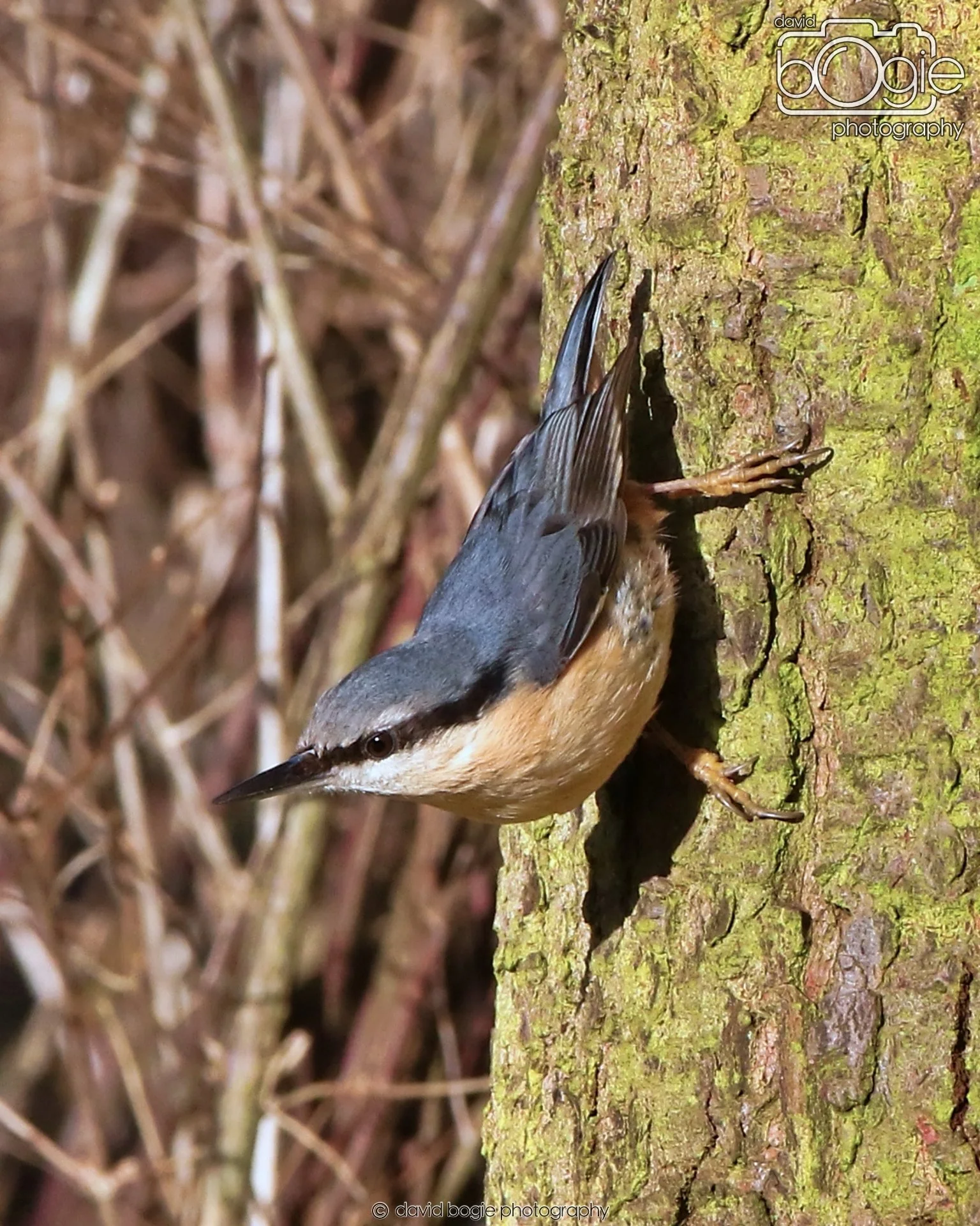 20260128 134205 Dunnikier 0255.JPG