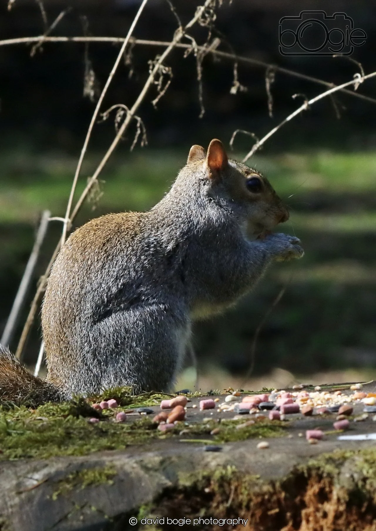 20260402 122727 Ravenscraig 0343.jpg