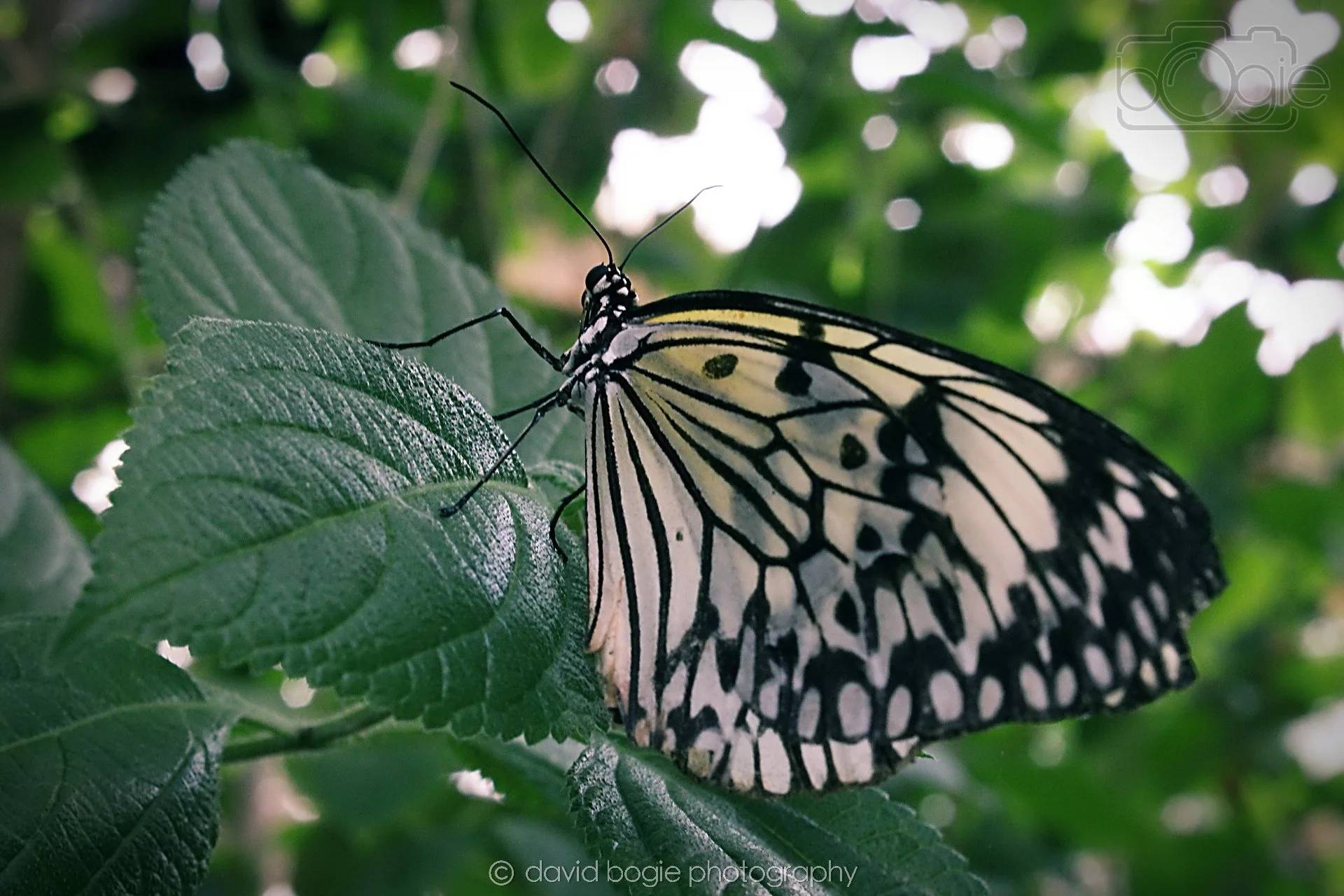 20191019 132146 Butterfly World 0045.jpg