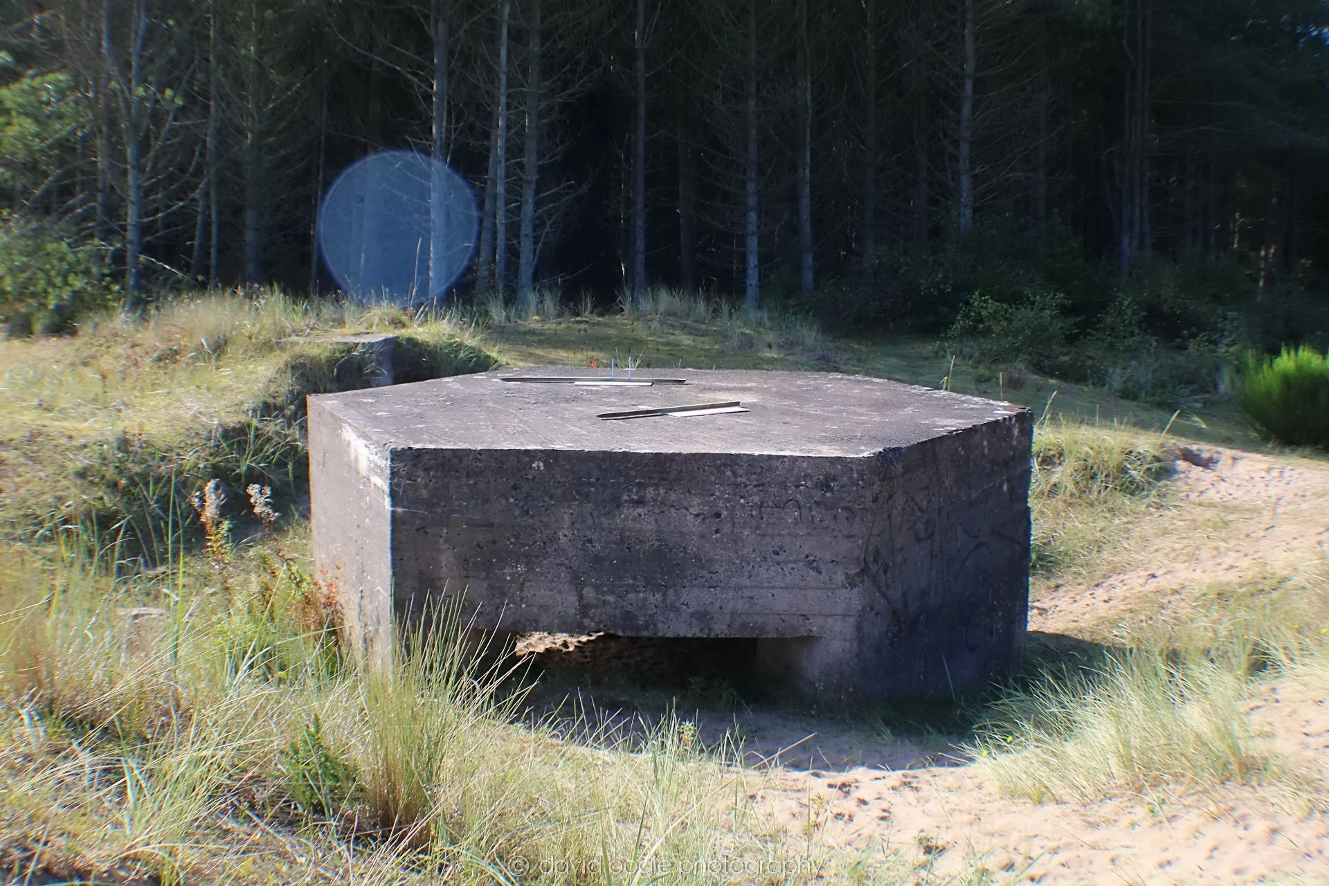 20191002 123735 Tentsmuir 0012.jpg