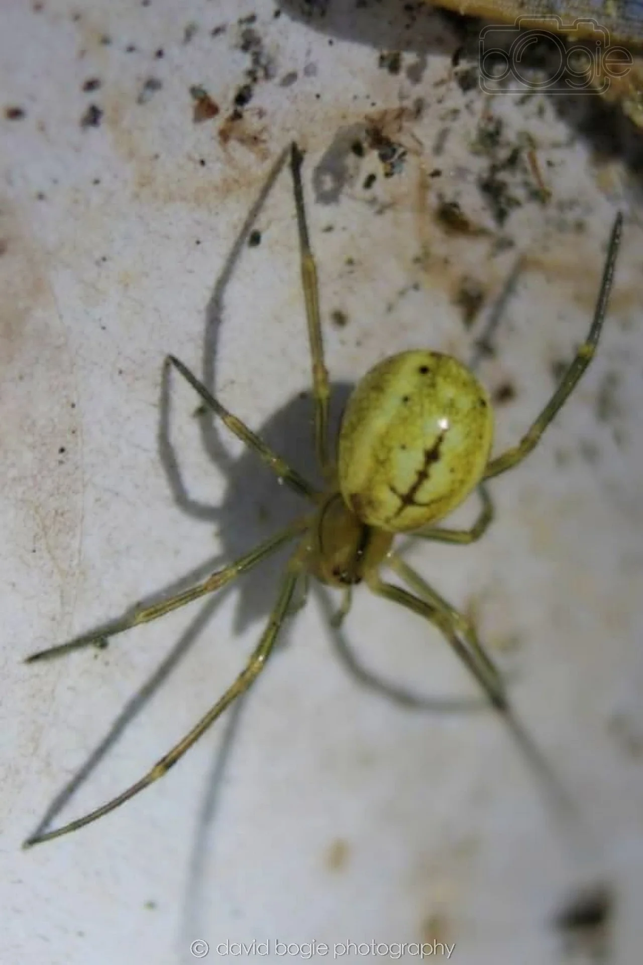 20190626 Cardenden 0002.jpg