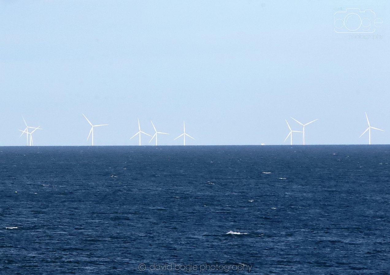 20260314 161301 Elie 0058.jpg