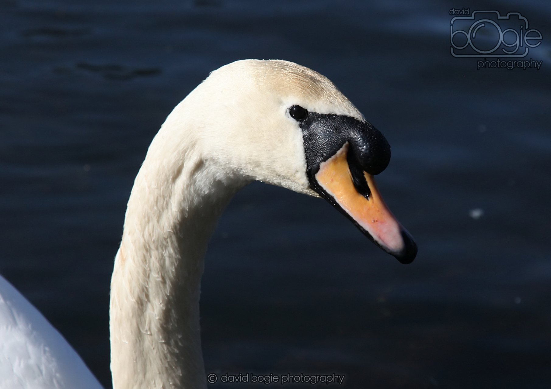 20260319 132356 Beveridge Park 0204.jpg