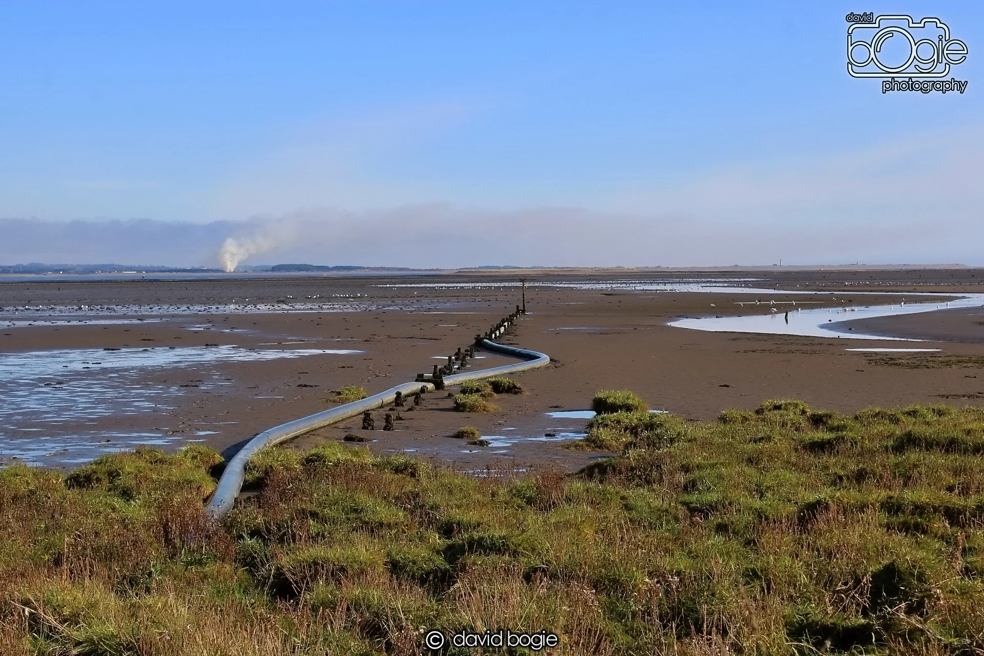 20191014 112552 Tentsmuir 0027.JPG
