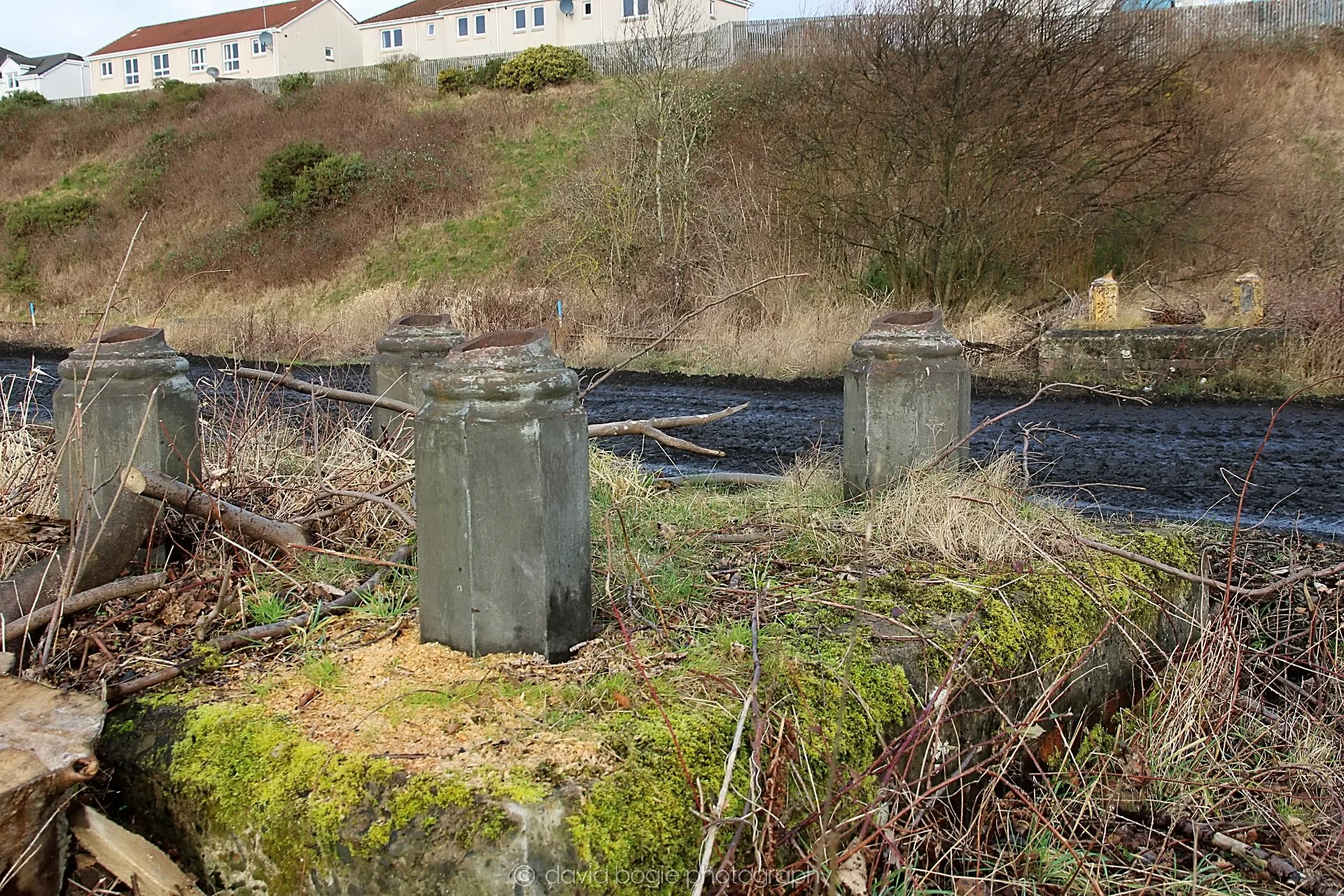 YEAR20220202 Levenmouth 00013.jpg