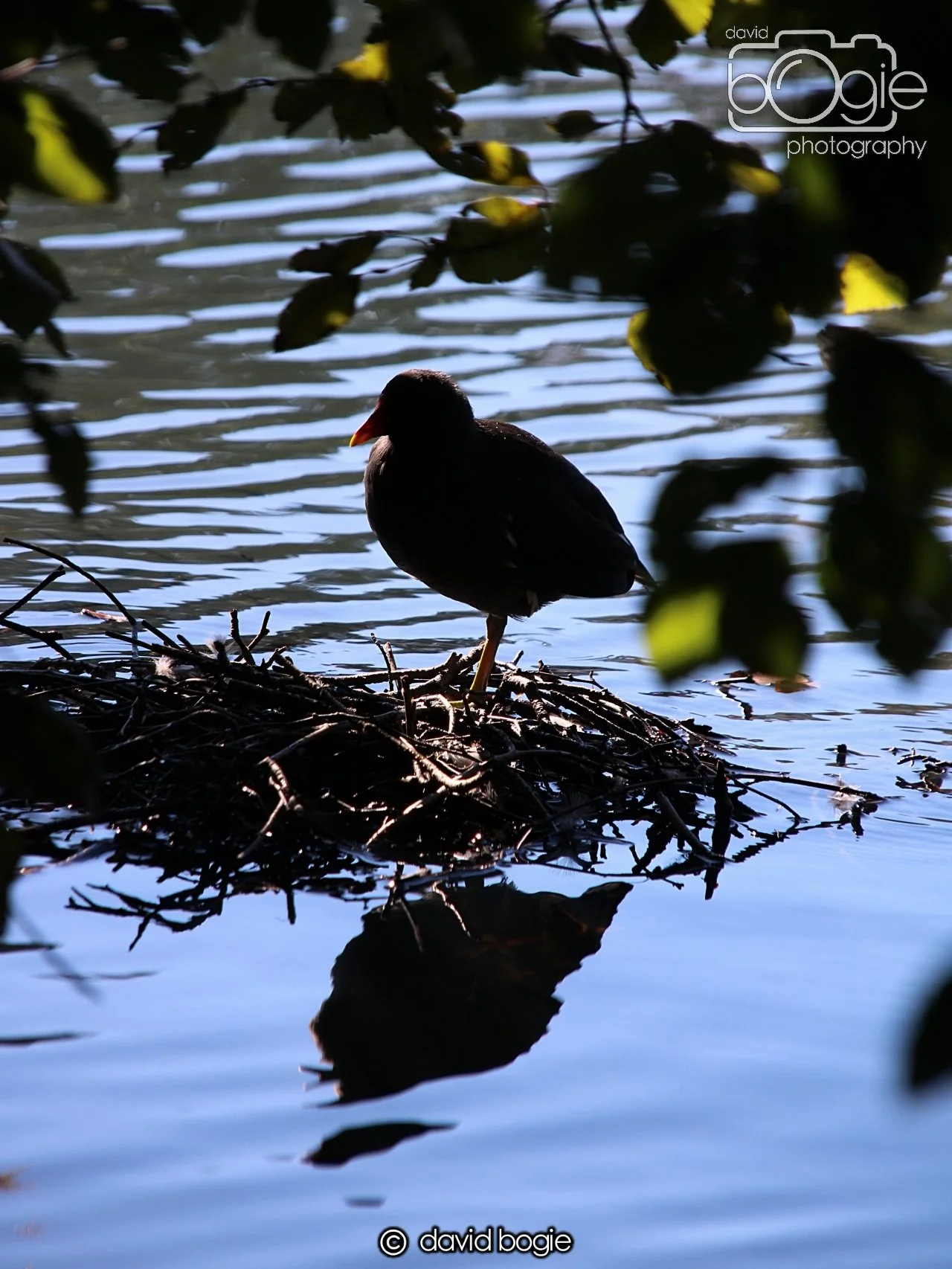 20240918 120721 Beveridge 0213.JPG