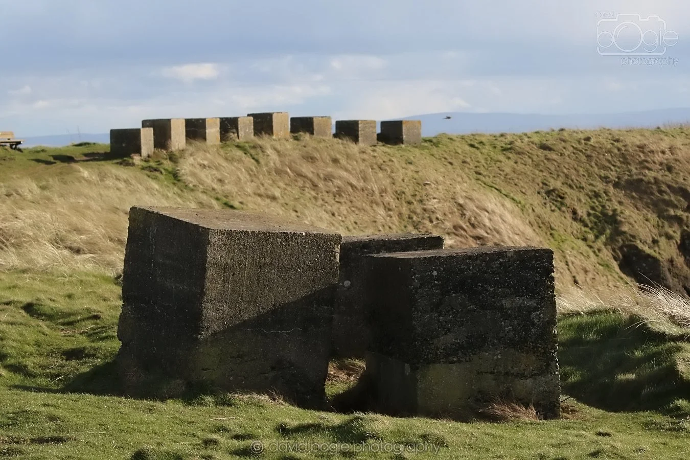 20260314 160514 Elie 0022.jpg