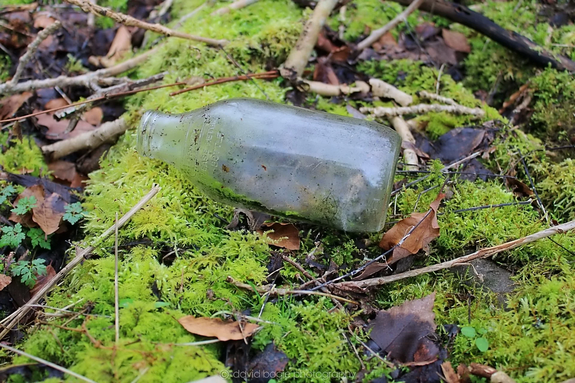20190219 144031 Glenfarg 0028.jpg