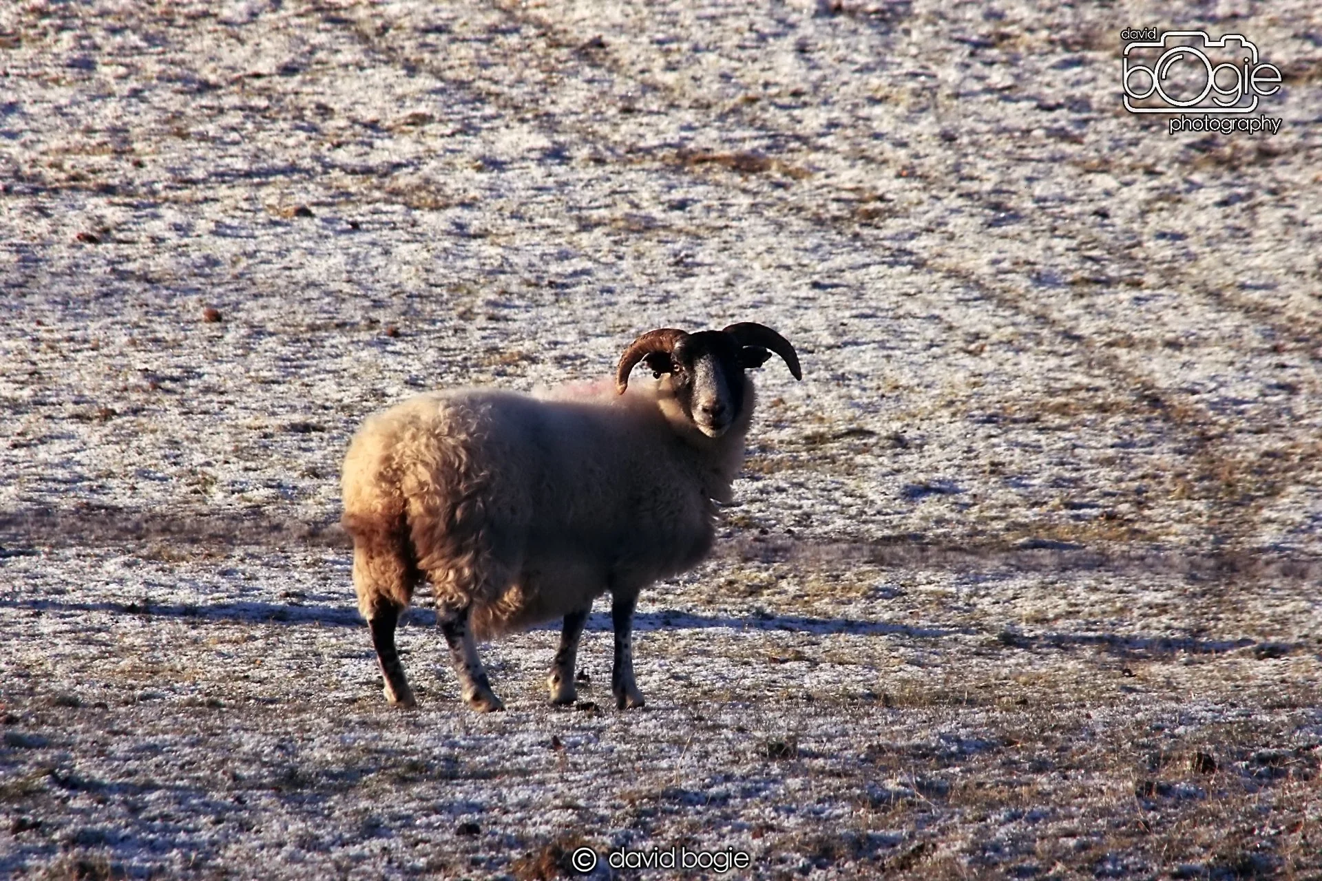 20221215 00052 Aberfeldy.JPG