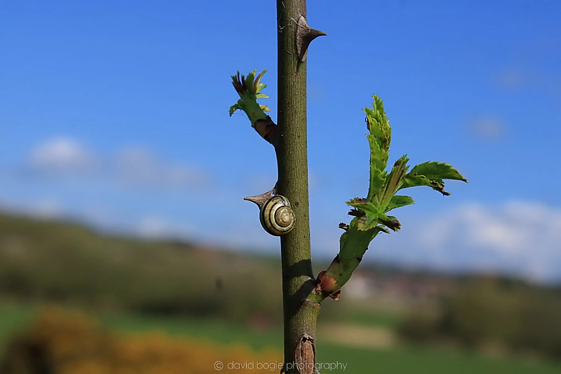 20190425 102224 Cardenden 0035.jpg