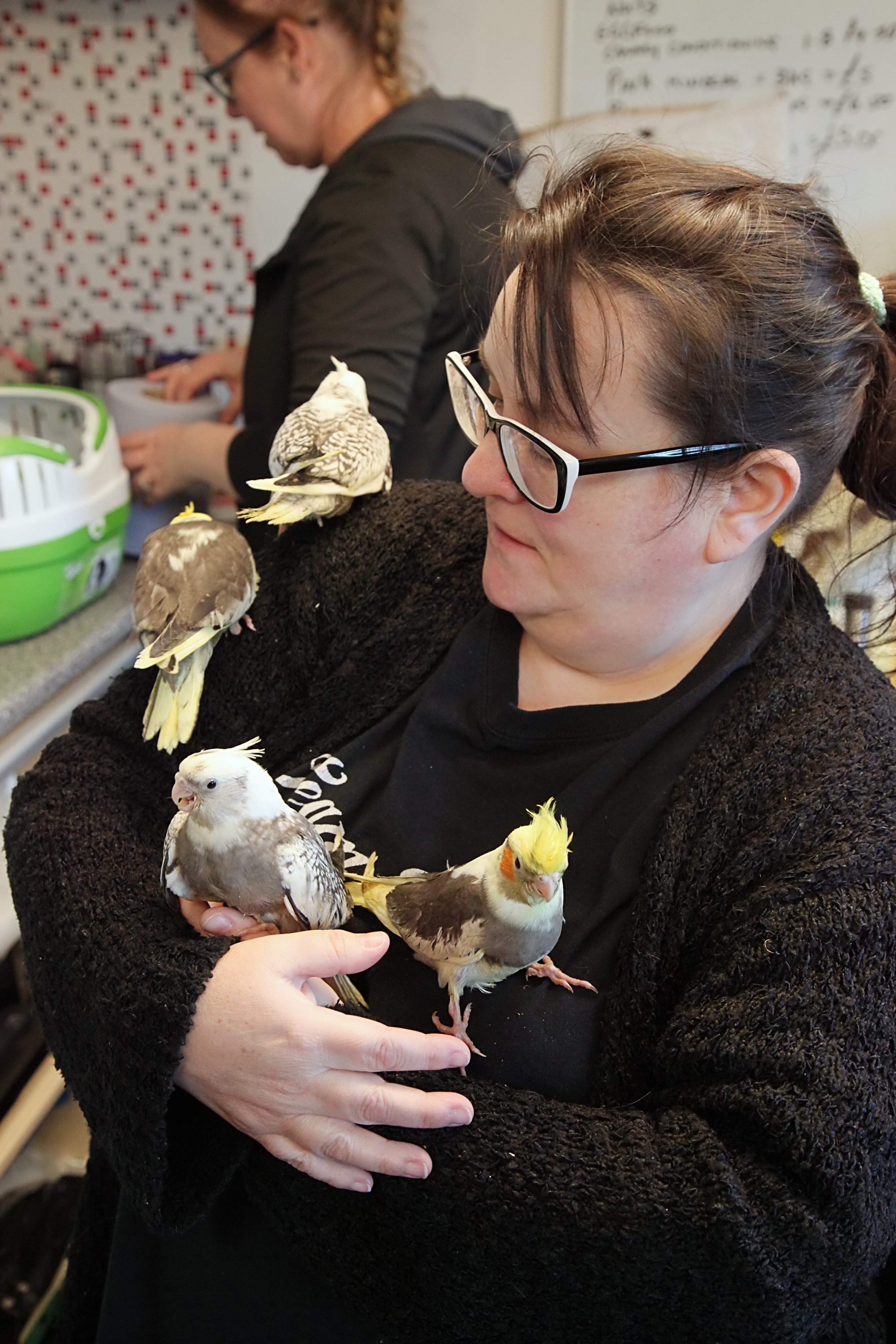 20260212 120522 IMG_0184.png