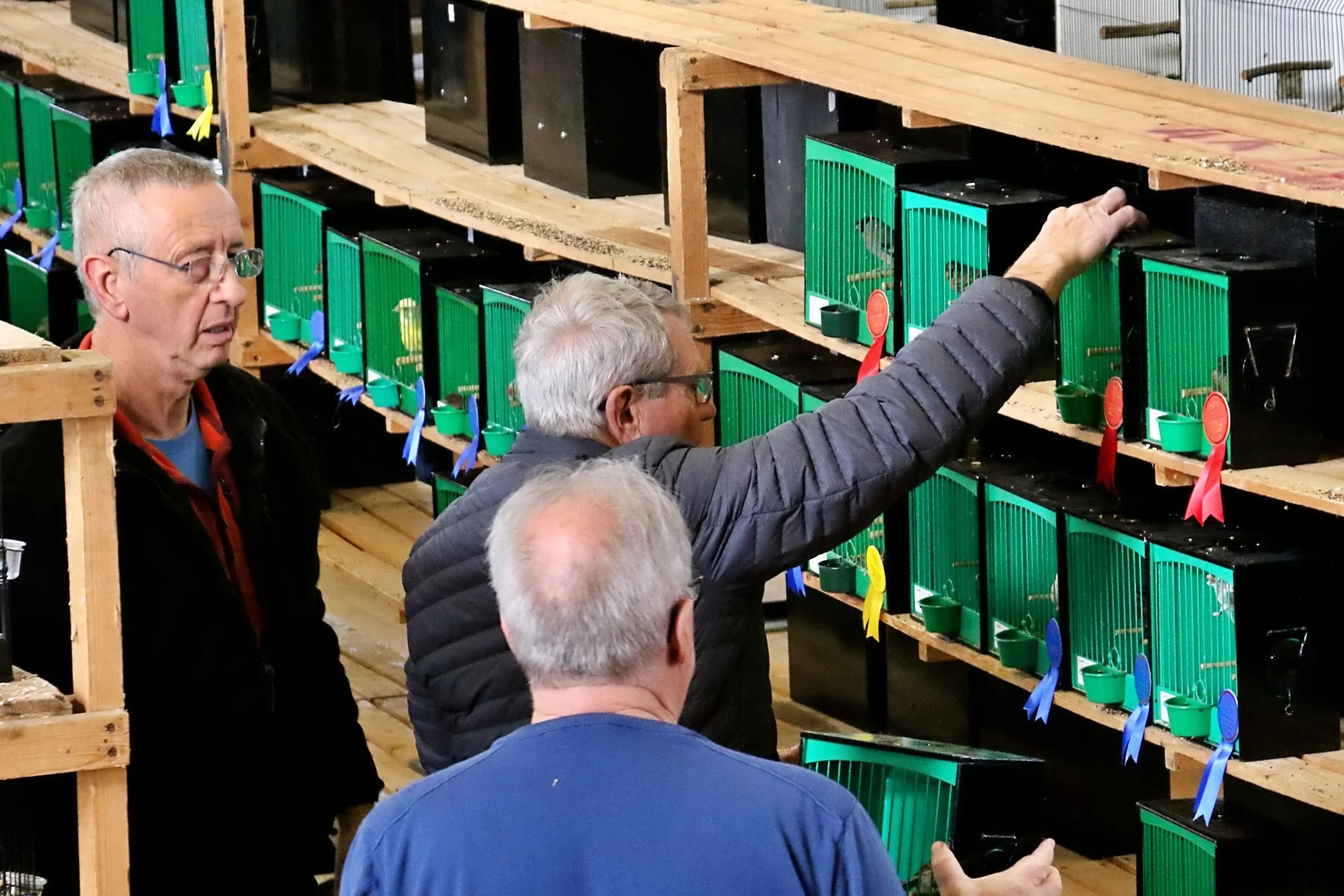 20251102 120526 Markinch CBS  0400.JPG