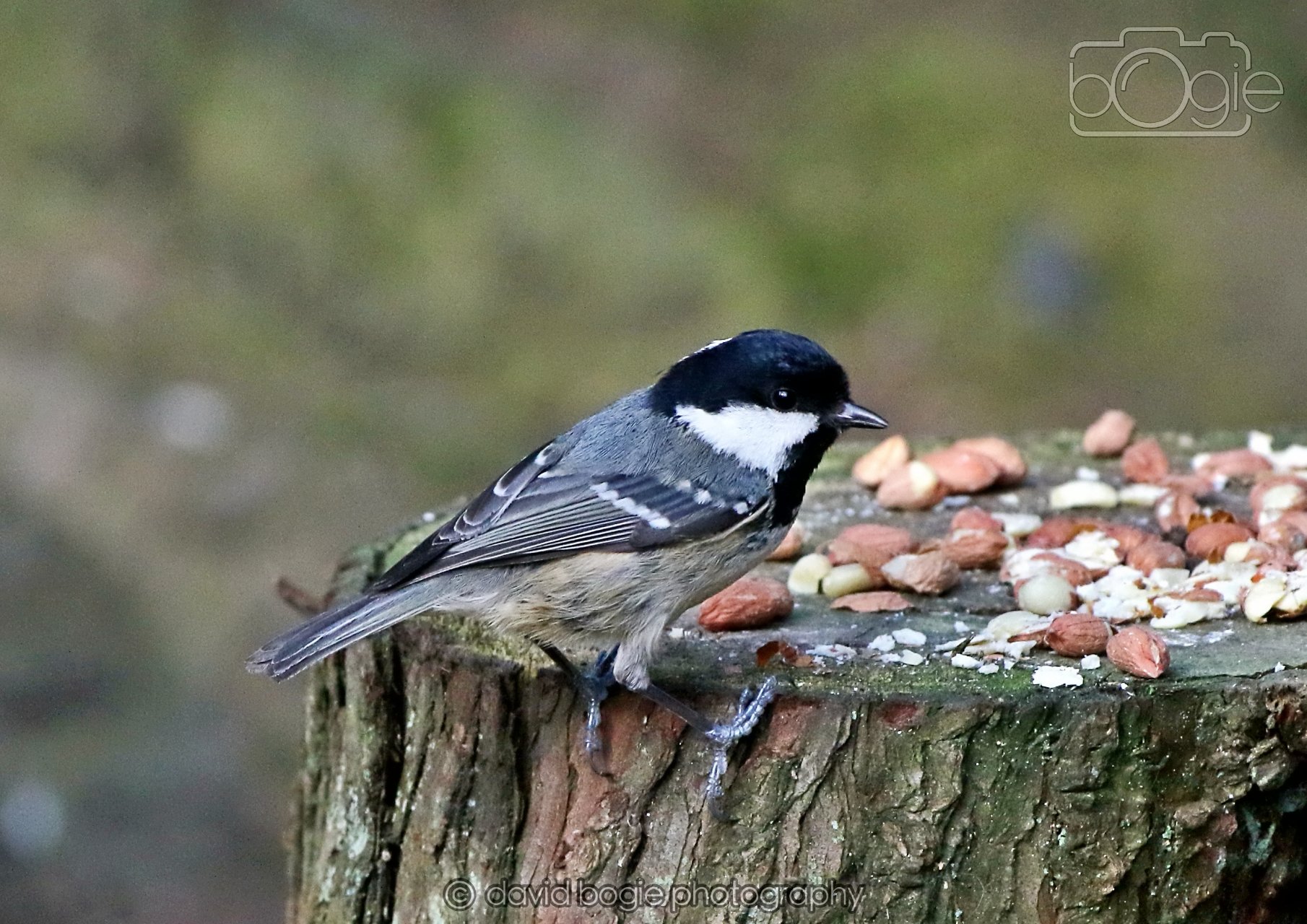 20260322 144809 Dunnikier 0175.jpg