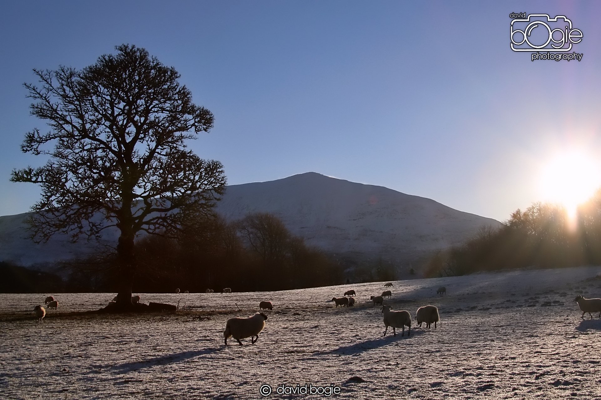 20221215 00231 Aberfeldy.JPG