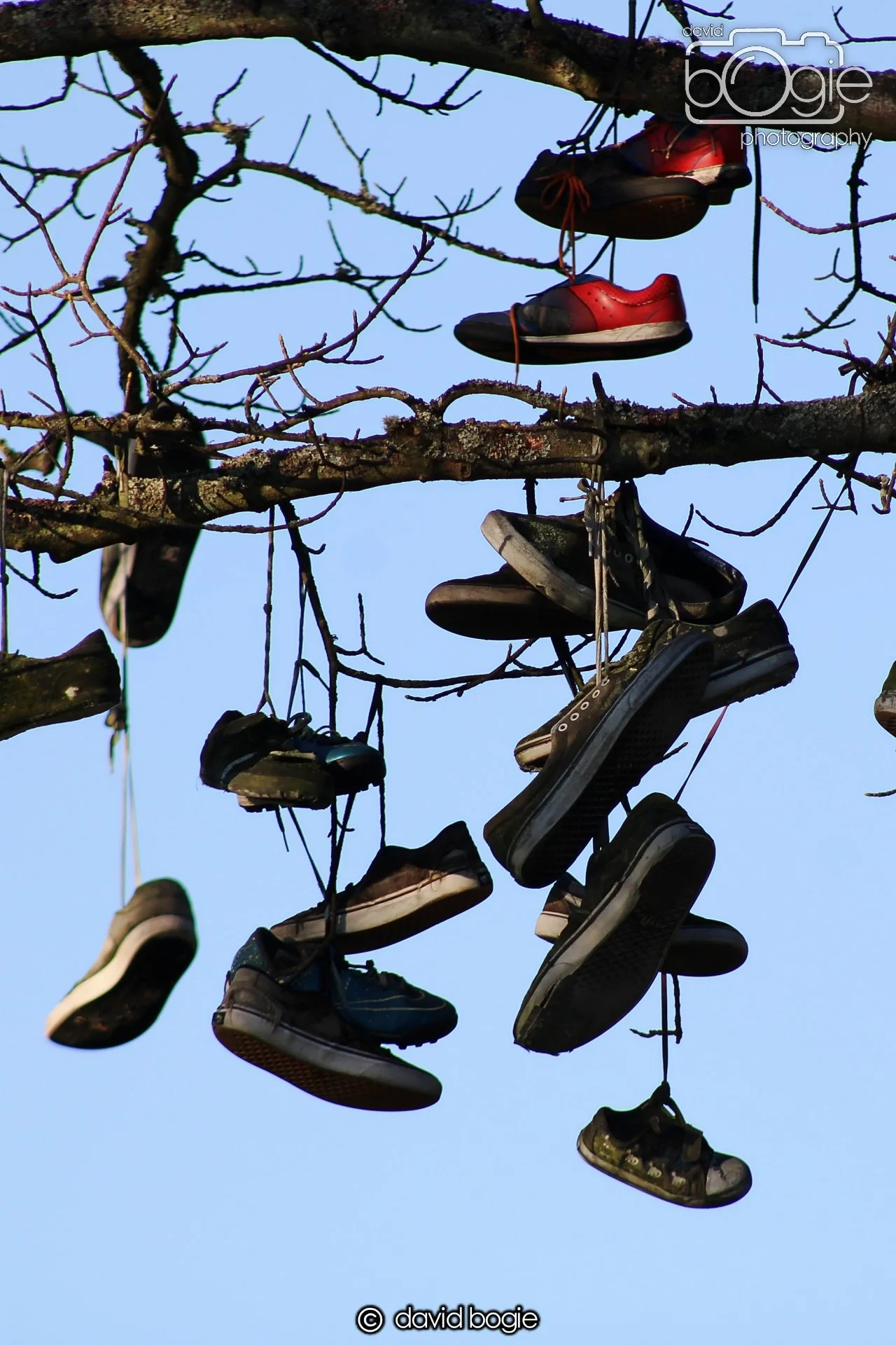 20191130 133300 Beveridge 0018.jpg