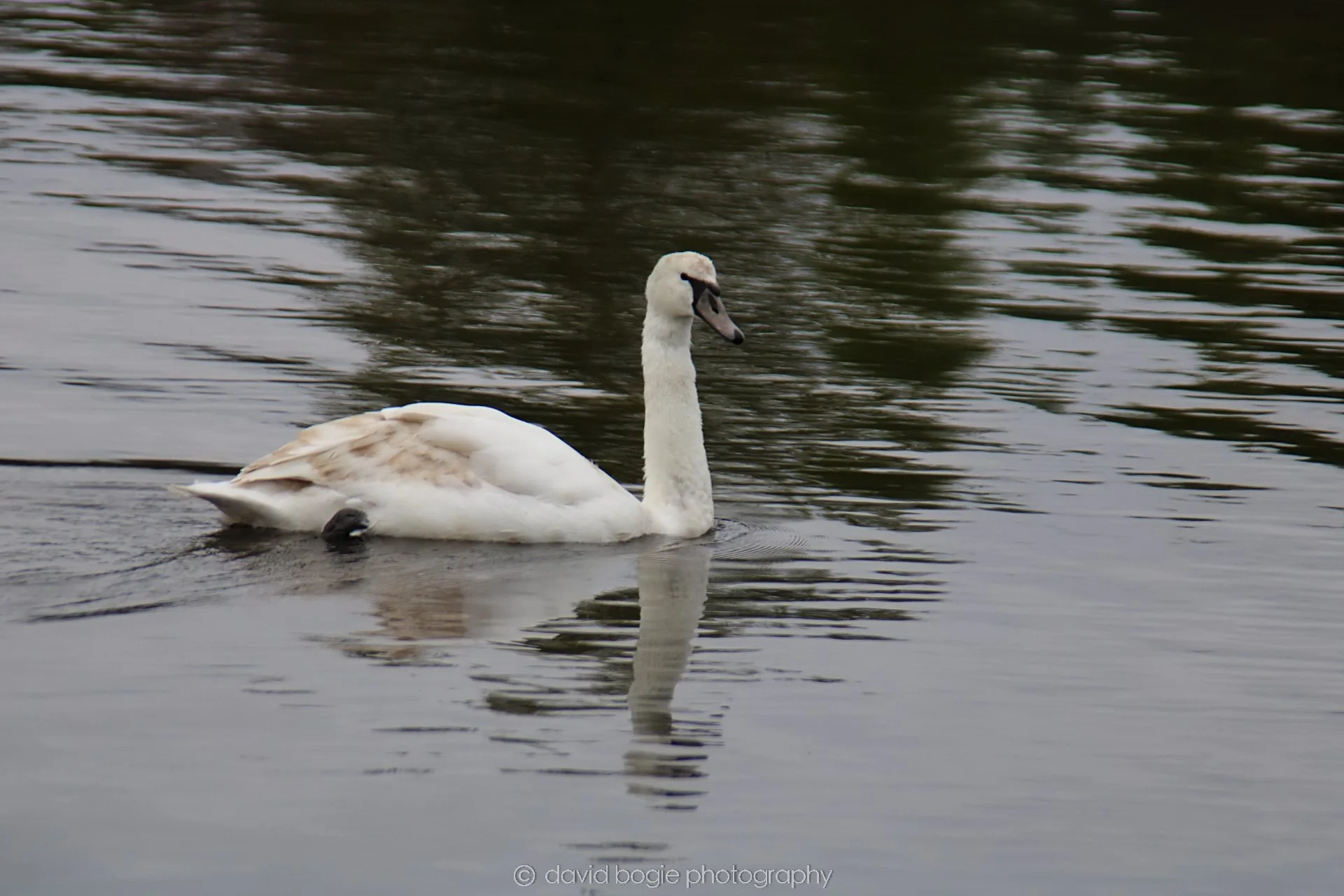 YEAR20220426 Lochore 17.jpg