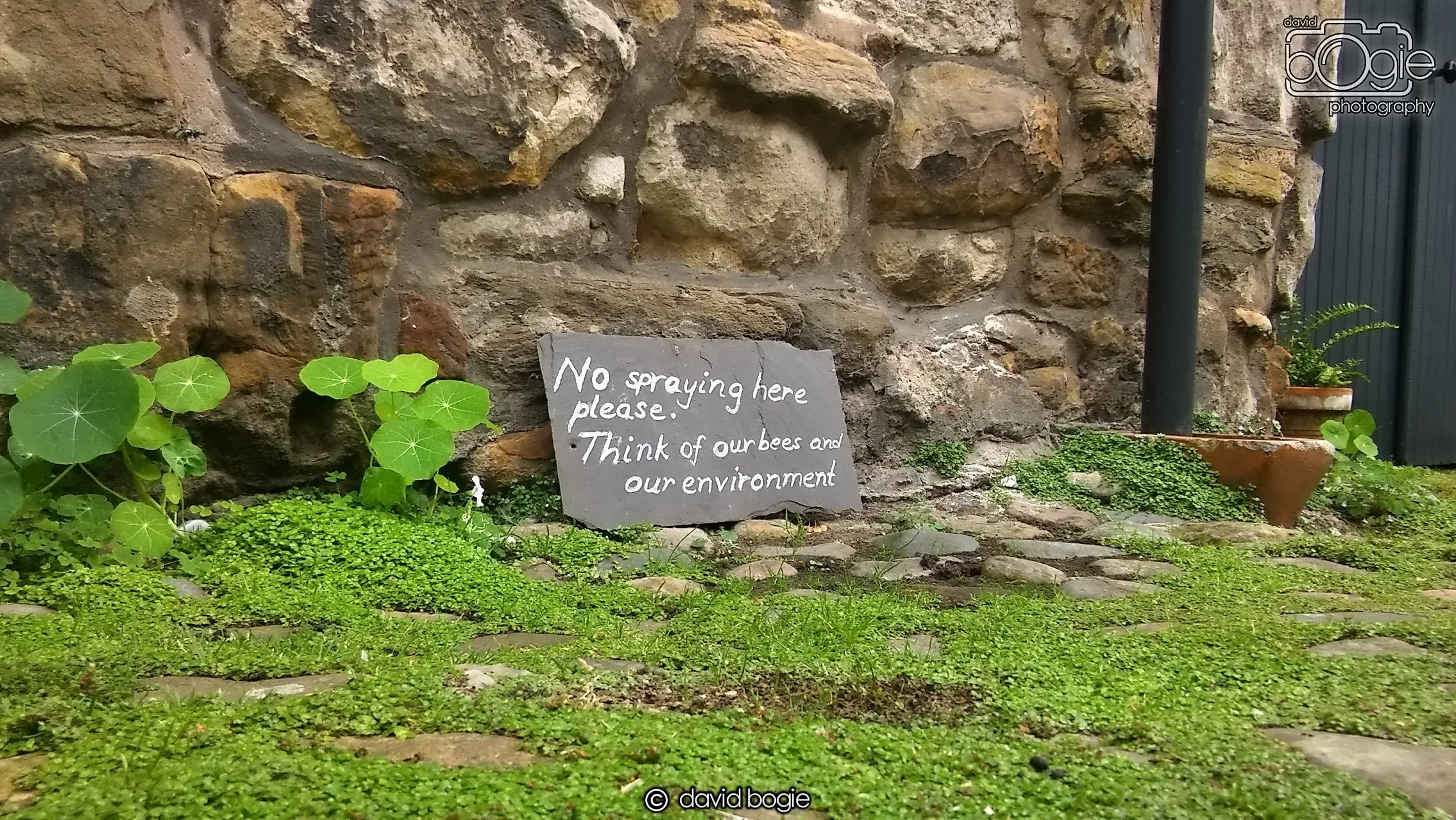 20170730 134418 St Andrews 0014.jpg