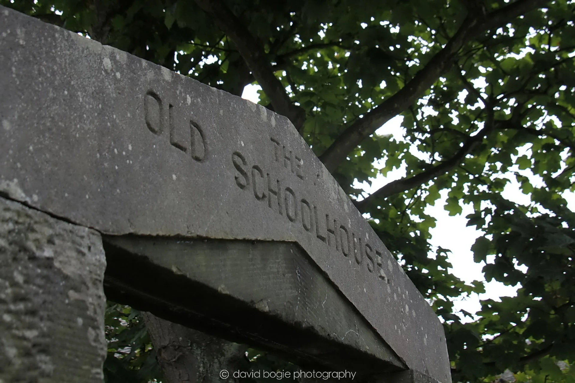 YEAR20230814 Kinghorn 133336 0166.jpg