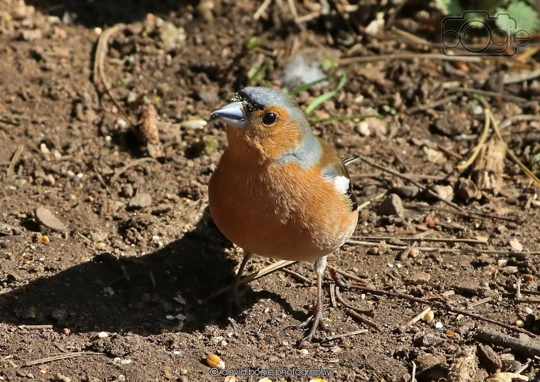 20260402 101711 Silverburn 0137.jpg