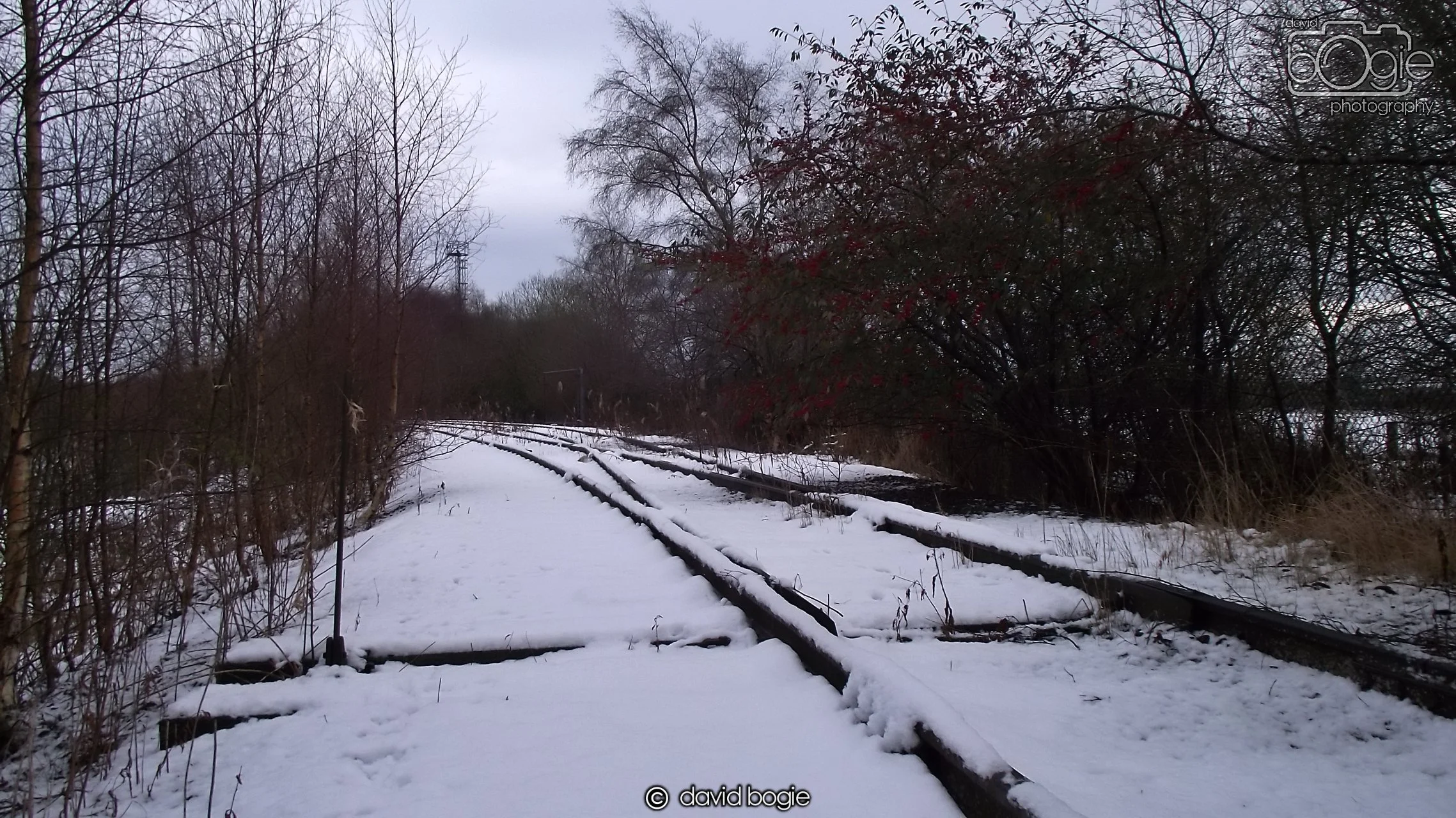 20171227 Westfield (77).JPG