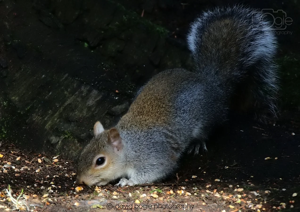 20260306 120354 Dunnikier 0538.jpg