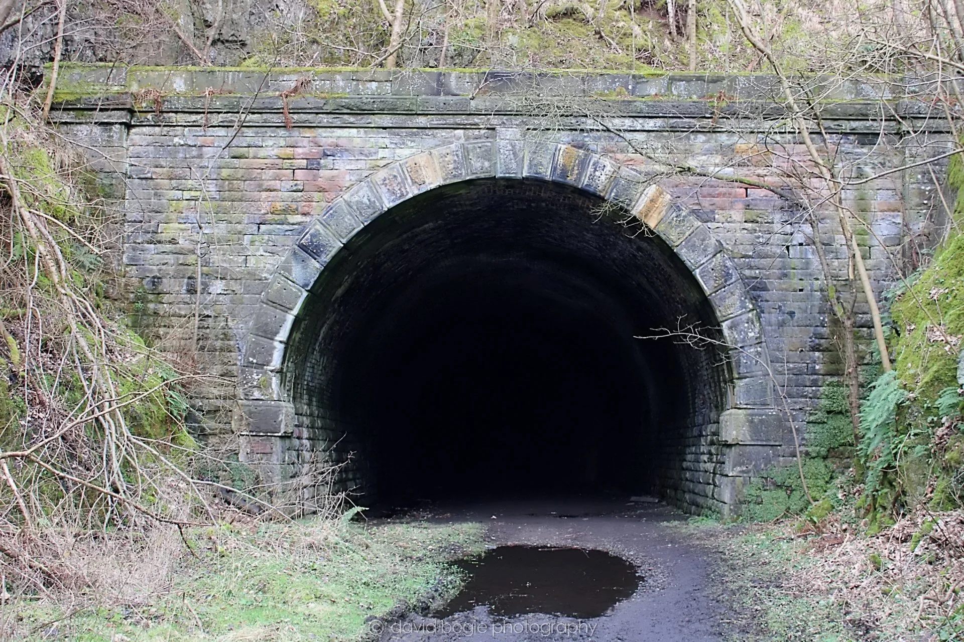 20190219 113636 Glenfarg 0012.jpg
