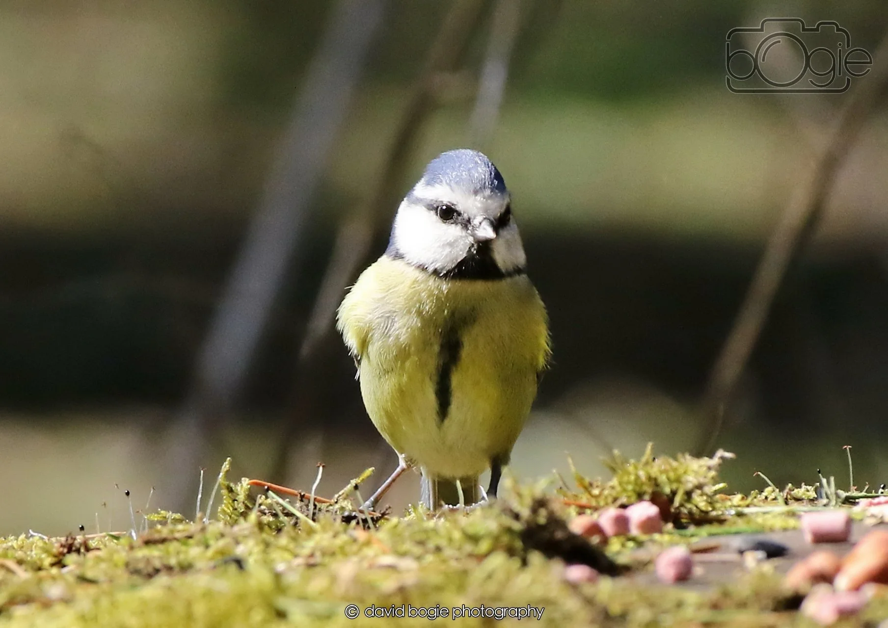 20260402 123648 Ravenscraig 0447.jpg