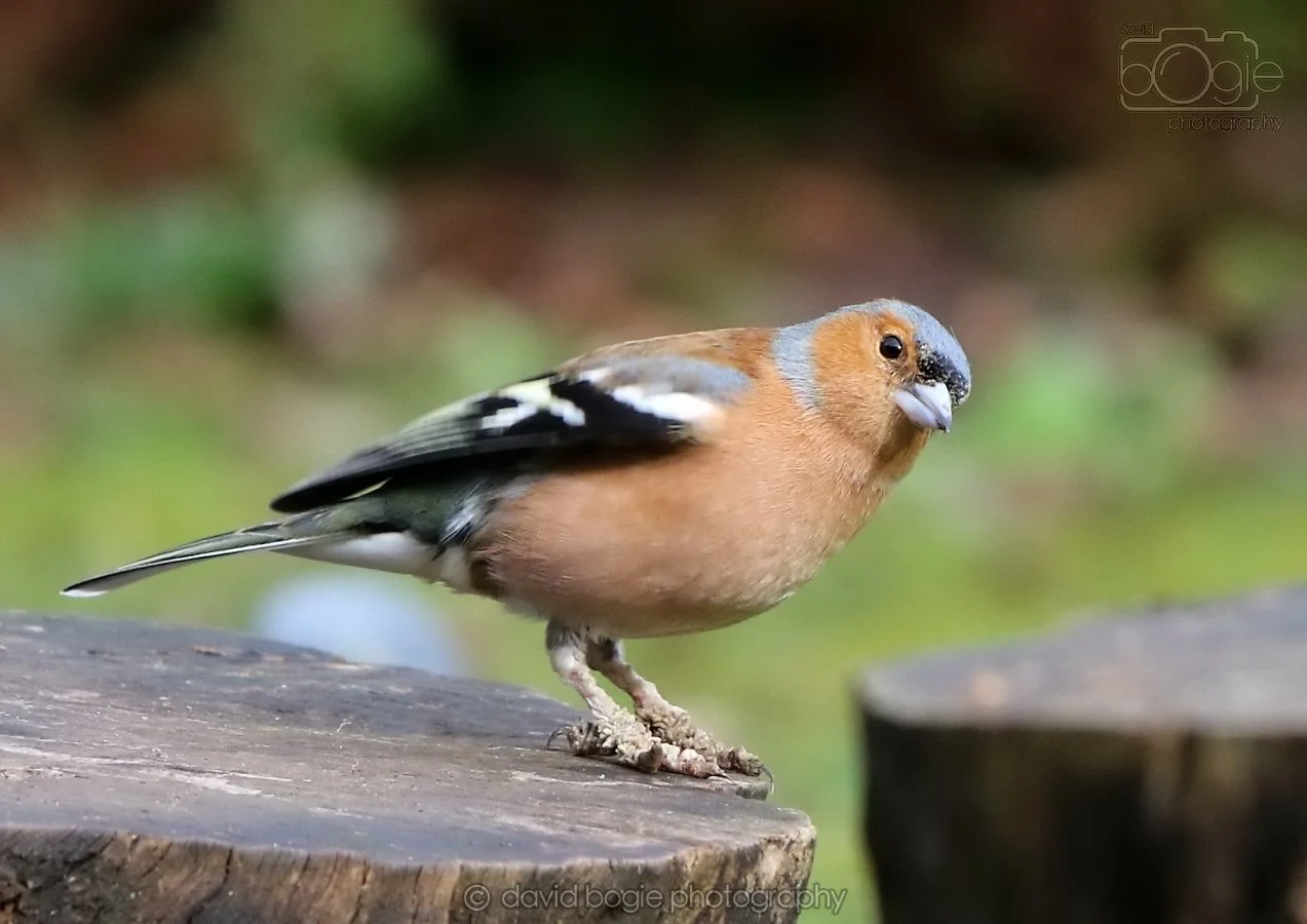 20260314 140333 Silverburn 0061.jpg