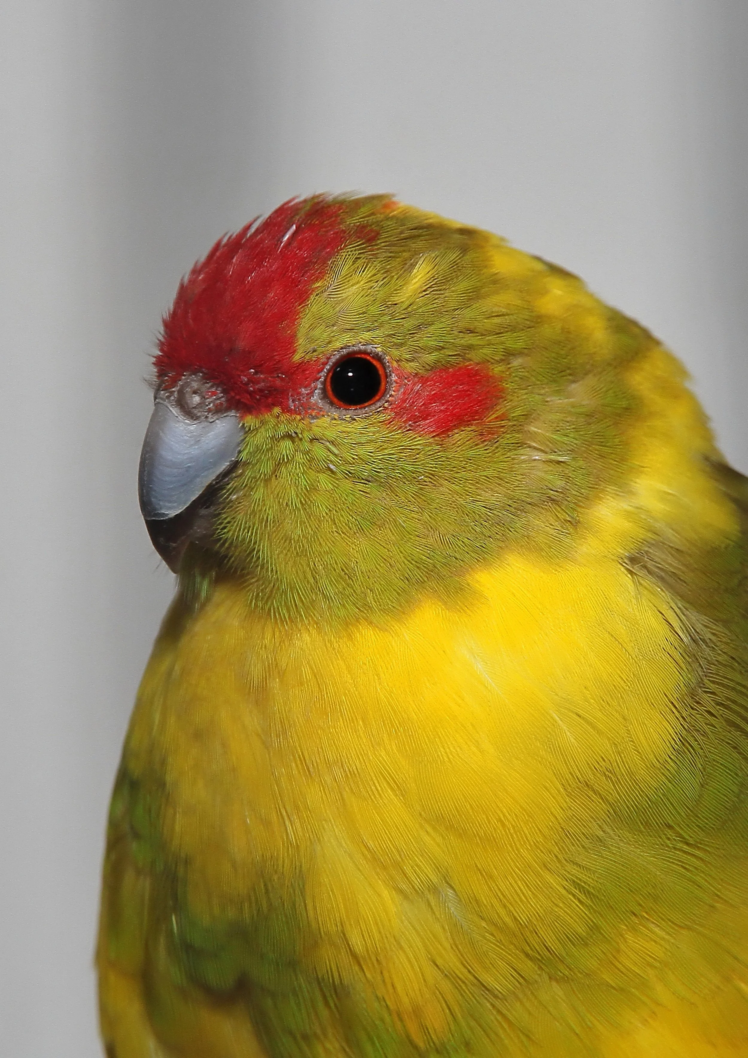 20260331 104146 K&S 0302.jpg