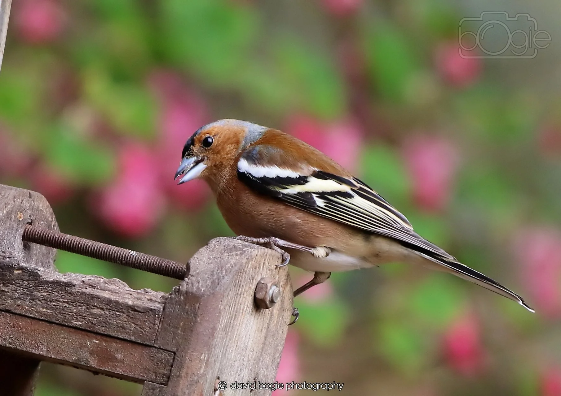 20260326 120409 Silverburn 0381.jpg