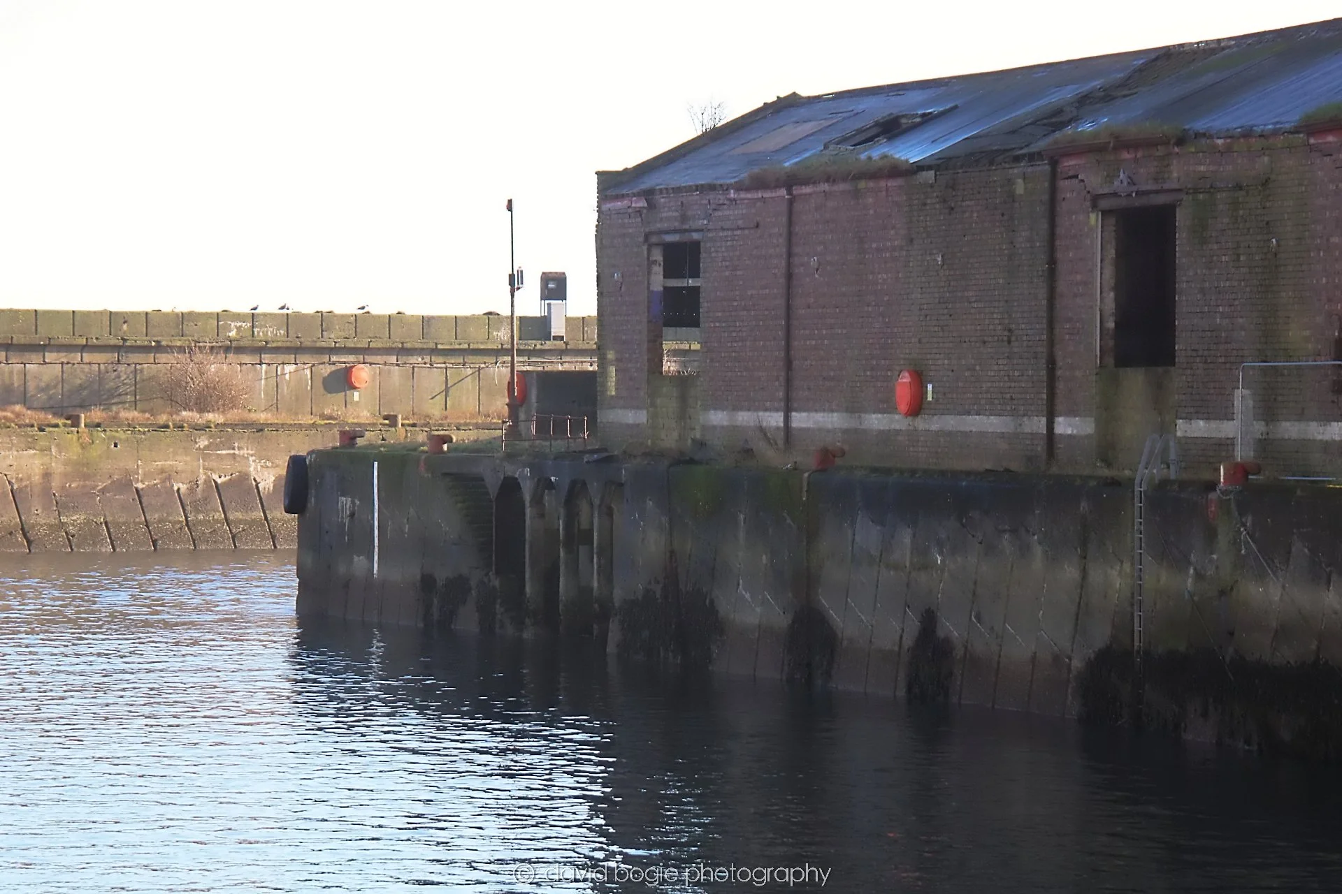 YEAR20231206 121110 Kirkcaldy 0122.jpg