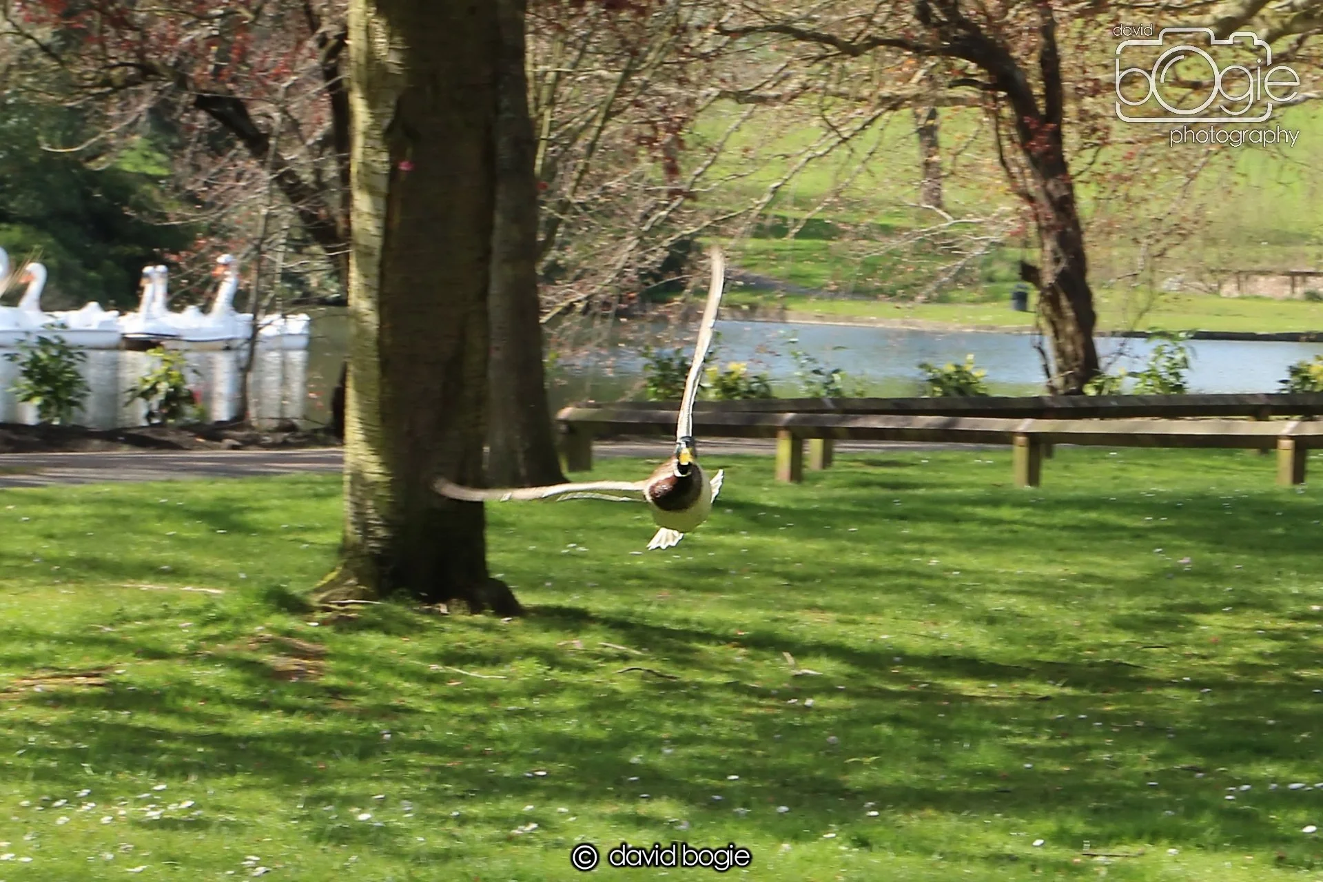 20240423 105123 Beveridge 0008.JPG