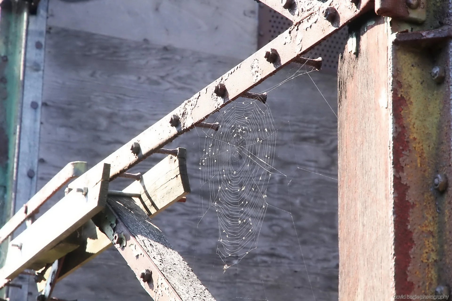 20260425 134859 Bus Bundle 0356.jpg