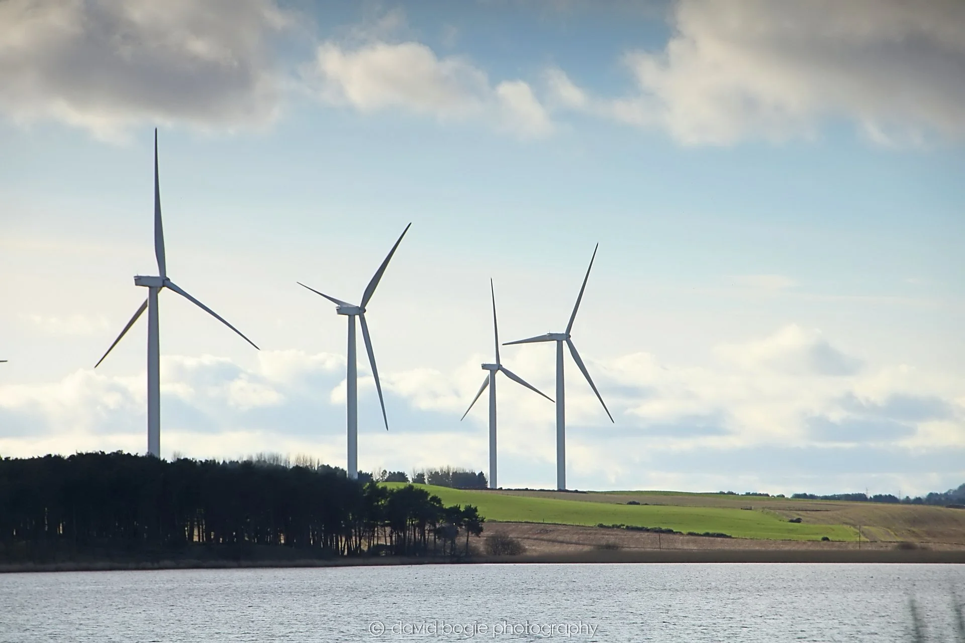 YEAR20240207 Loch Gelly 0504.jpg