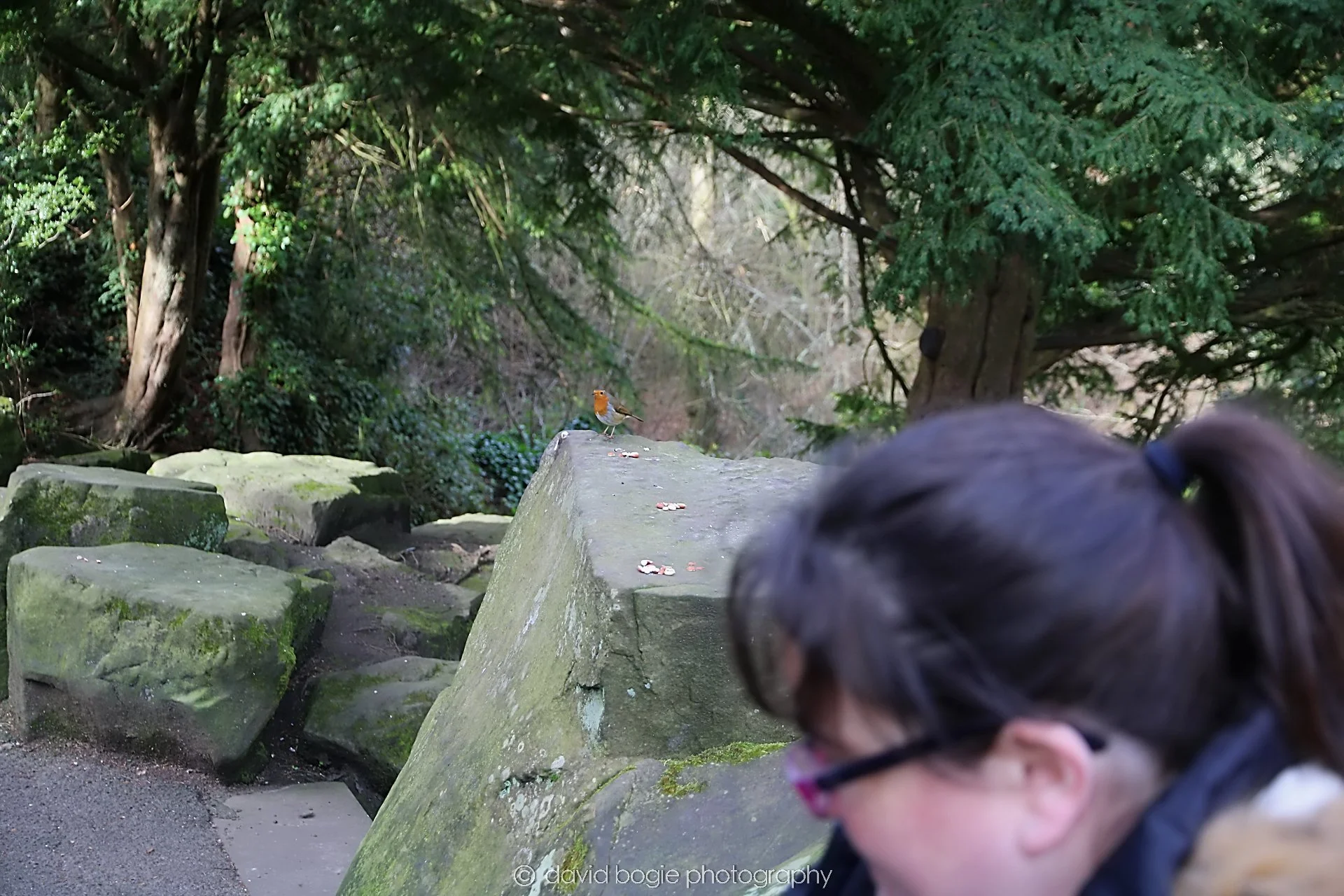 YEAR20230302 Pittencrieff Park IMG_0057.jpg
