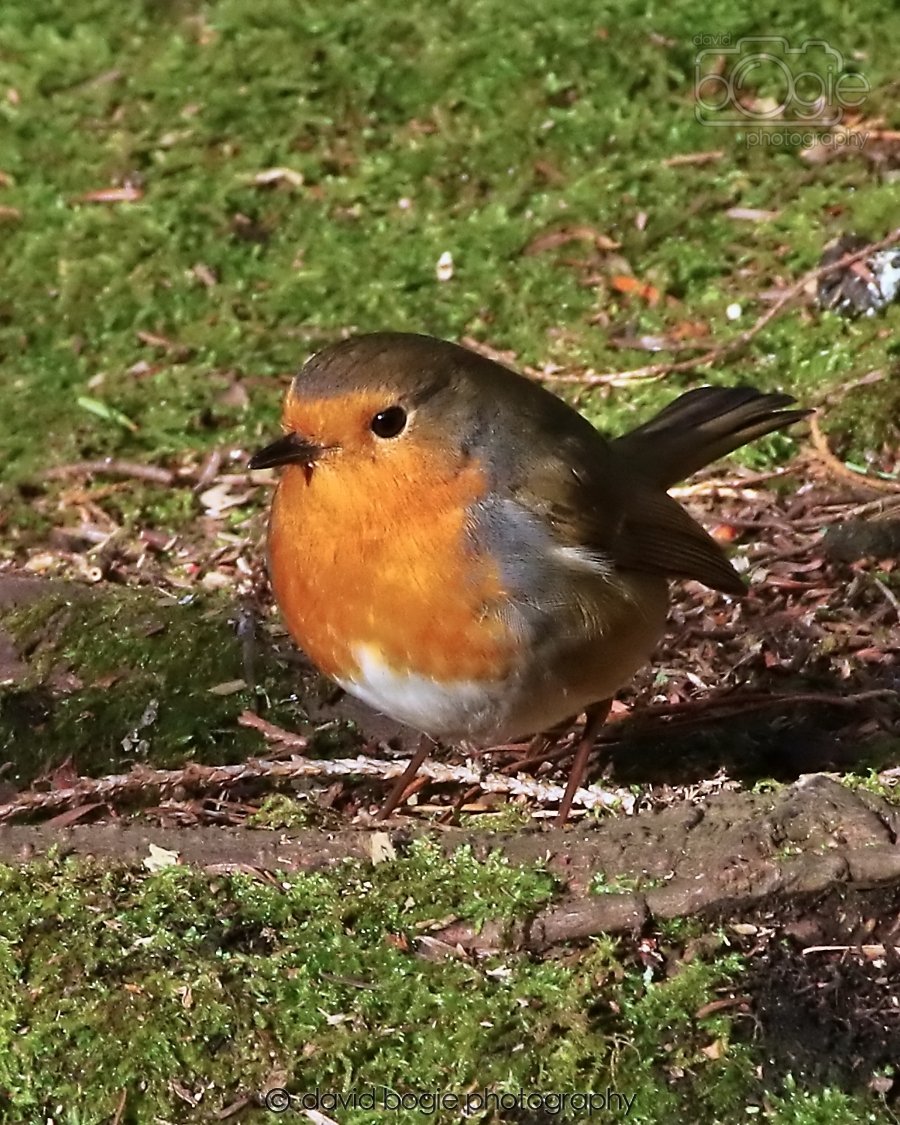 20260128 133741 Dunnikier 0212.jpg